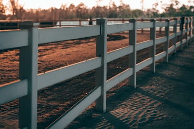 Pasture fence on a horse property