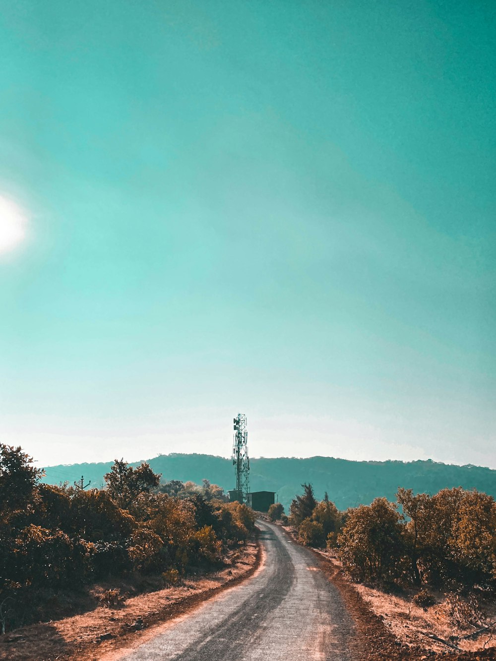 gray asphalt road between trees under blue sky during daytime