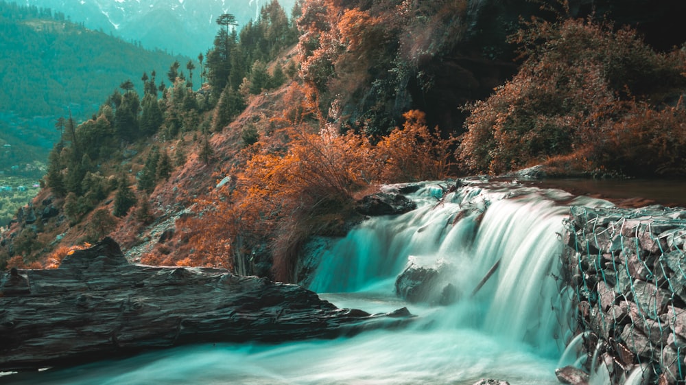 water falls in the middle of forest