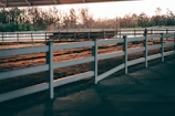 Aerial view of the modern barn with fenced training arenas bathed in morning light.