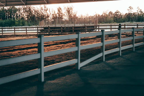 Aerial view of the modern barn with fenced training arenas bathed in morning light.