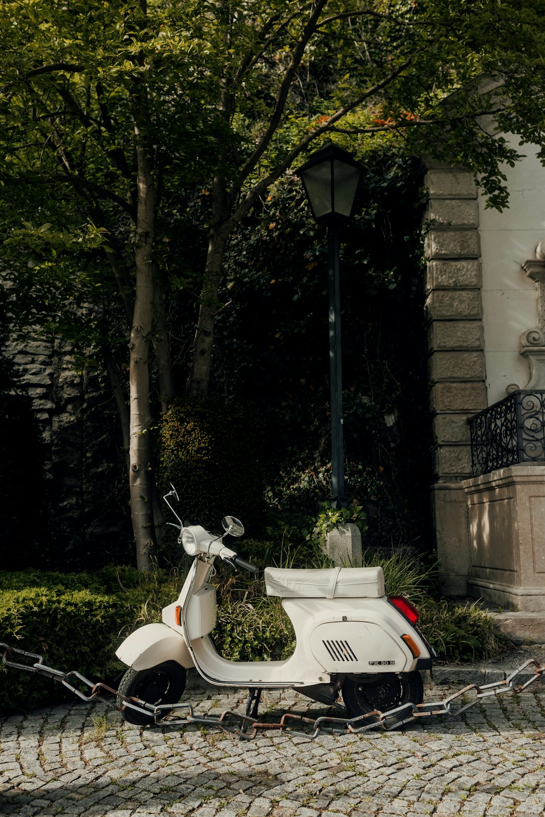 white motor scooter parked beside green trees during daytime