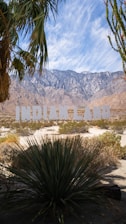 A large sign reading 'Indian Land' is positioned in a desert landscape with prominent mountains in the background. The foreground features desert plants, including palm fronds and cactus, under a bright blue sky.