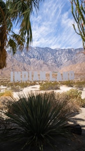 A large sign reading 'Indian Land' is positioned in a desert landscape with prominent mountains in the background. The foreground features desert plants, including palm fronds and cactus, under a bright blue sky.