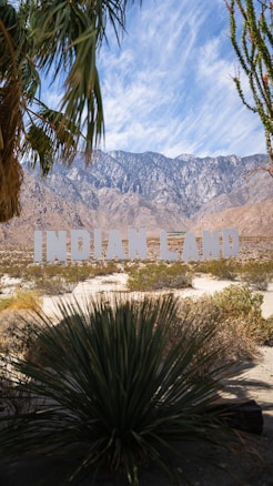 A large sign reading 'Indian Land' is positioned in a desert landscape with prominent mountains in the background. The foreground features desert plants, including palm fronds and cactus, under a bright blue sky.