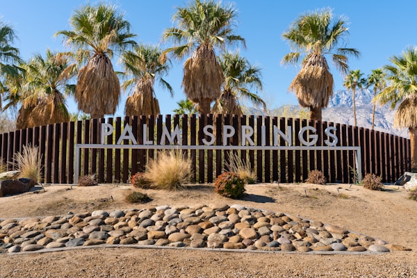 Essential Palm Springs Travel Guide