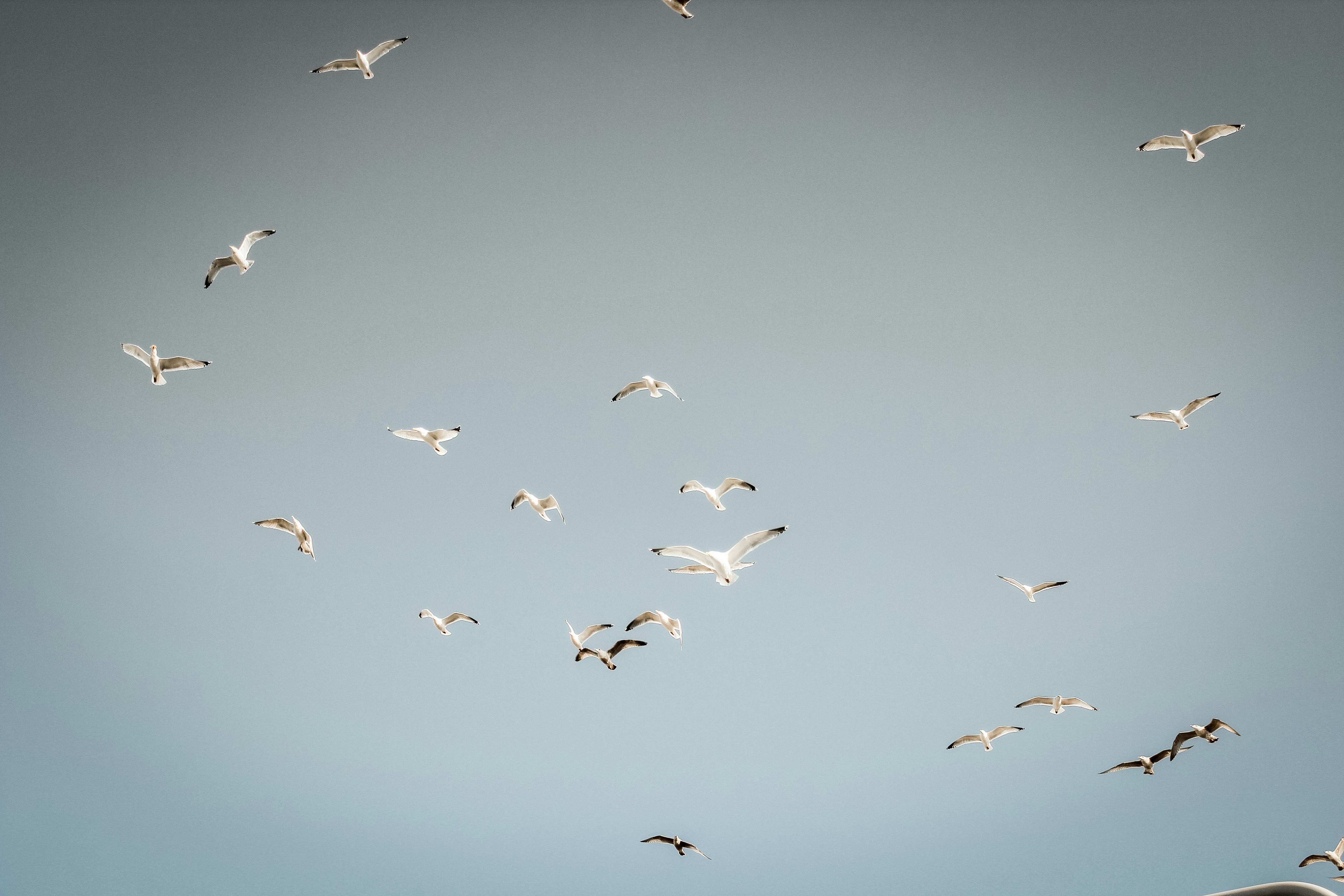 Photo by kajareichardtphotos