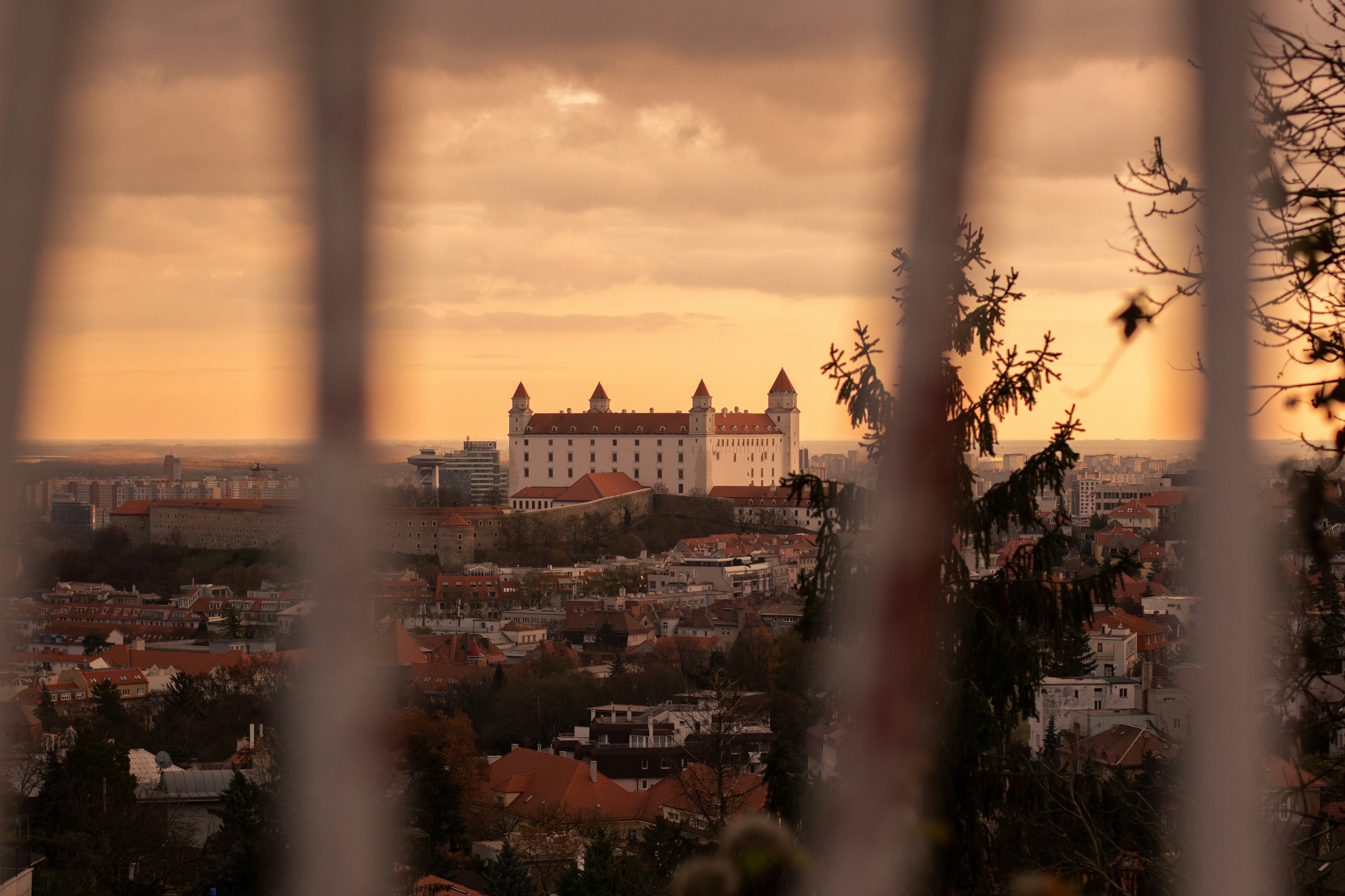 Photo by lukajzz