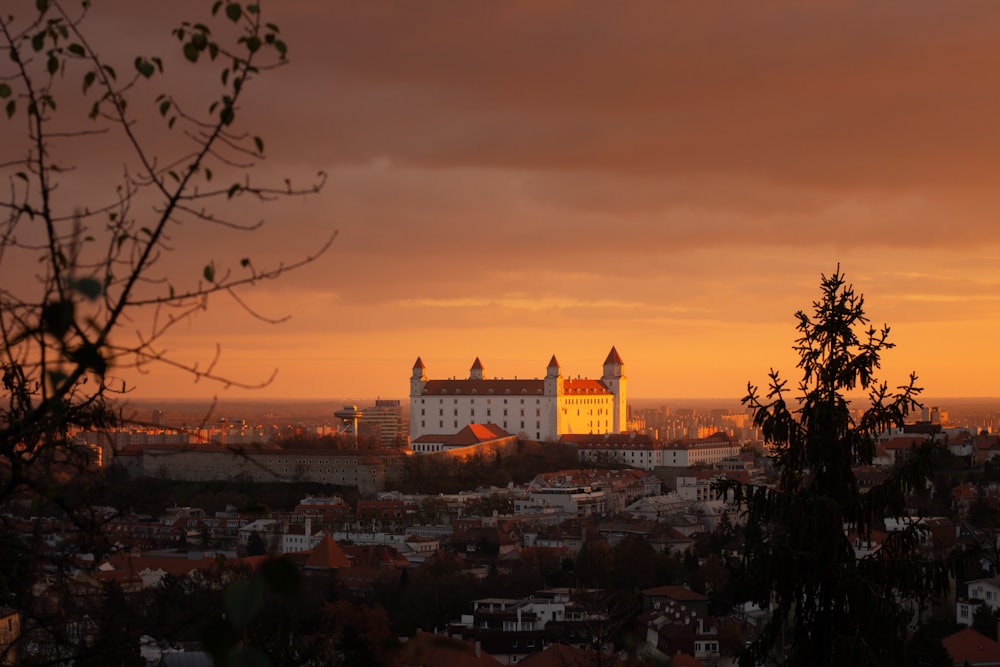 silhouette of trees and buildings during sunset