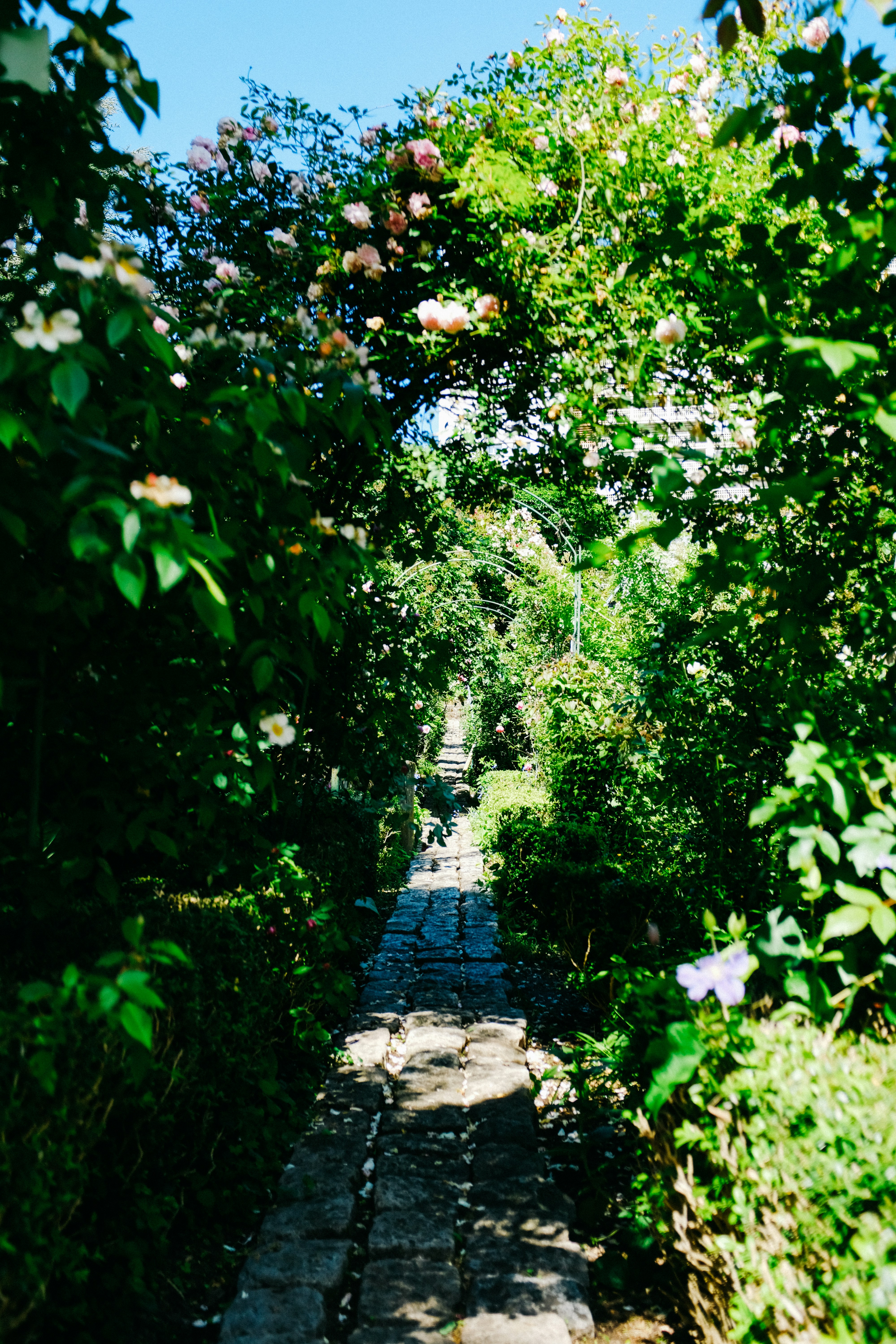 Photo by adrienolichon