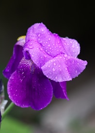 Photo 1621883532319 Cfaa95f8a47f?q=85&w=275&h=275&fit=crop