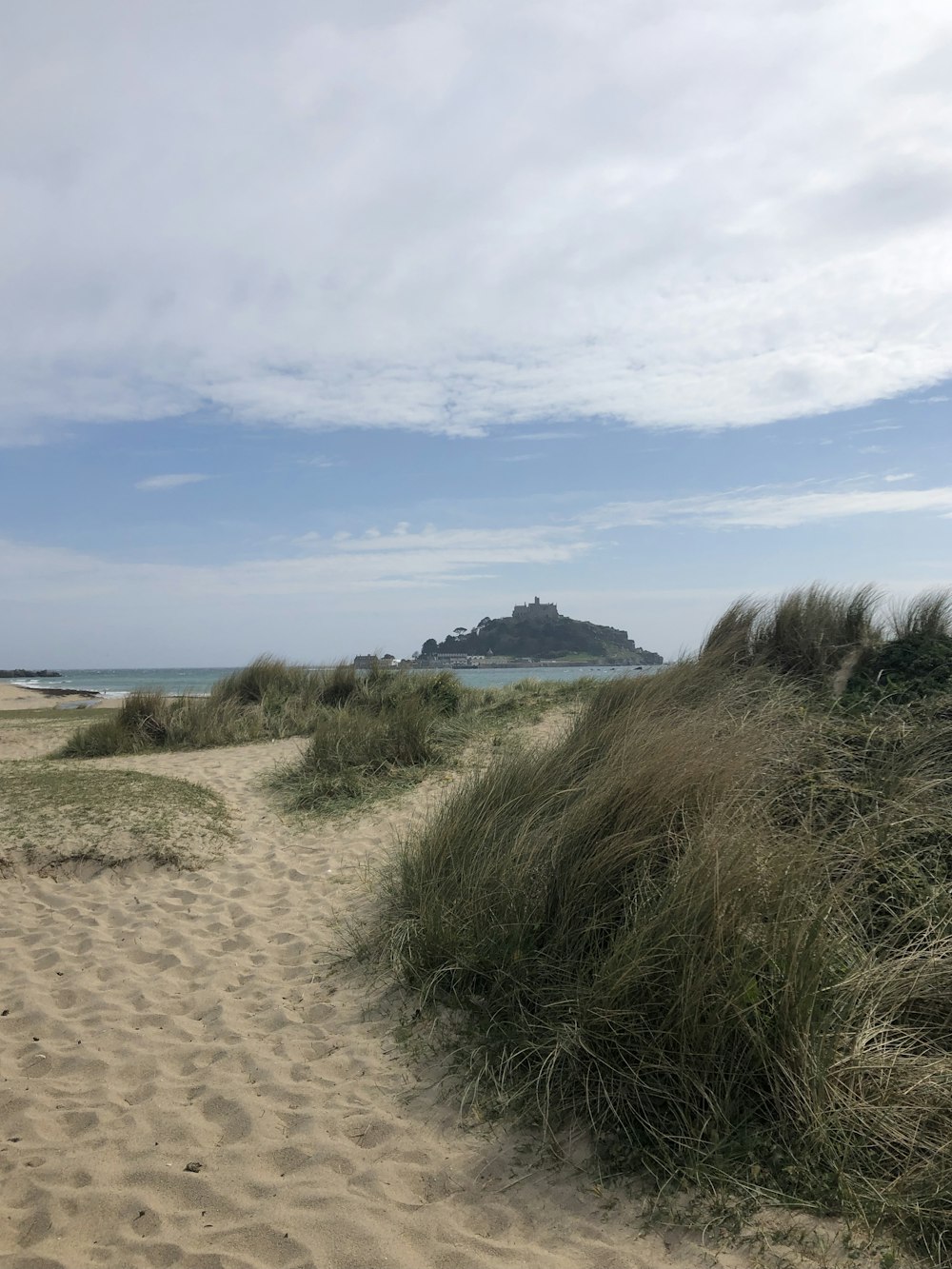 green grass on brown sand under blue sky during daytime