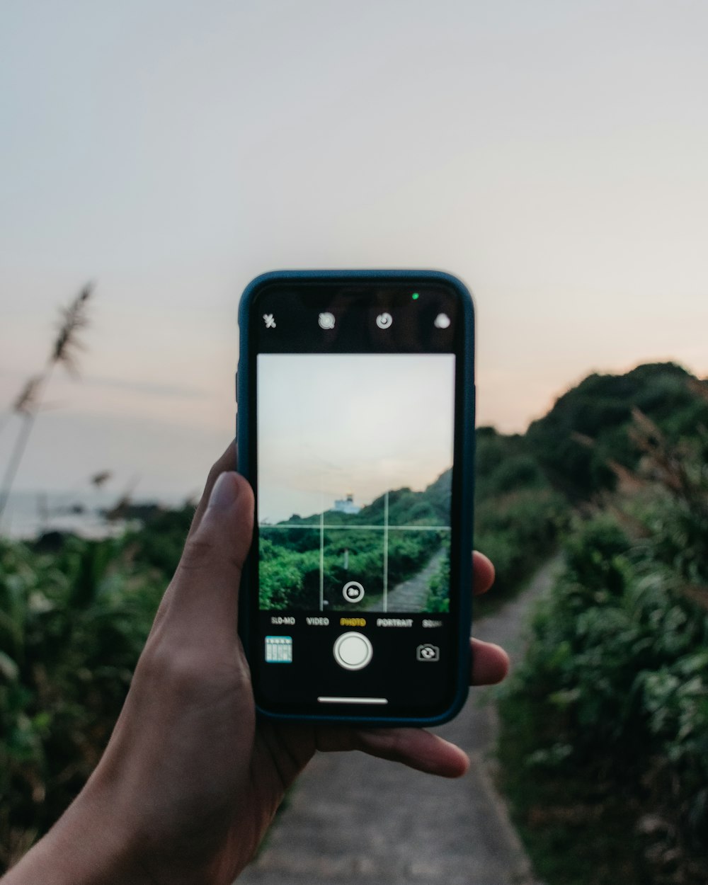 person holding black iphone 5 taking photo of green trees during daytime