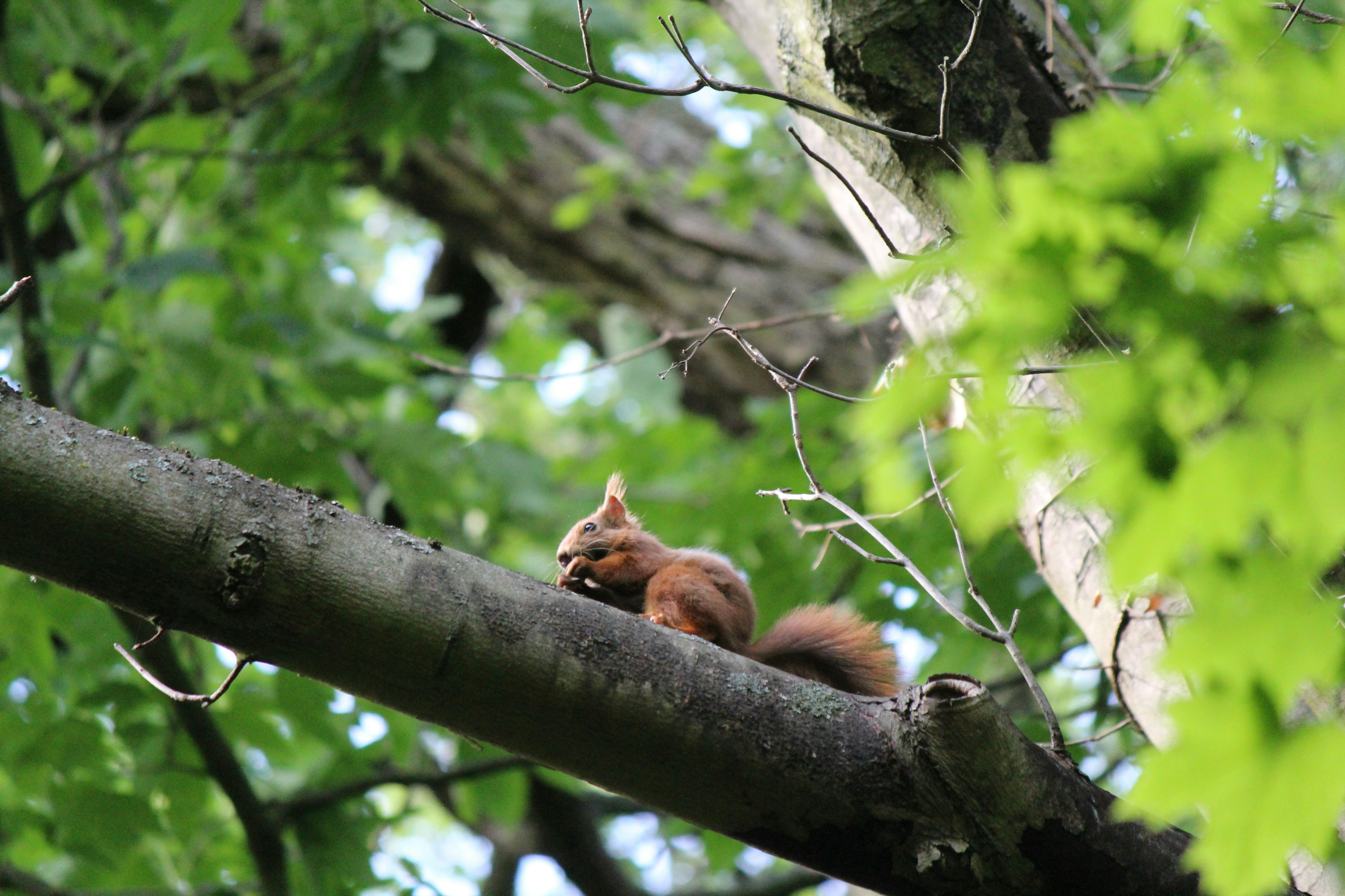 Photo by haim_charbit18