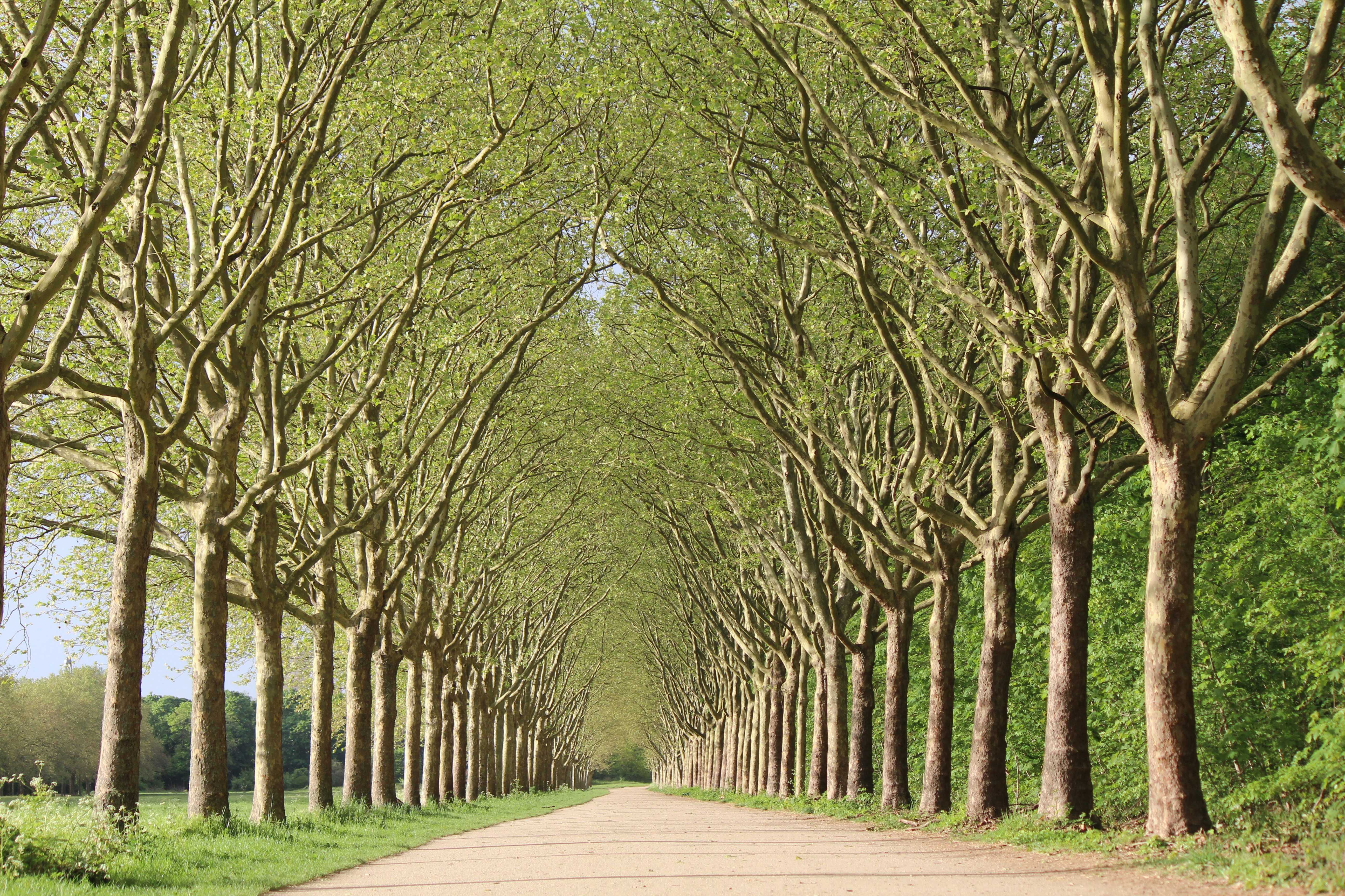 Photo by haim_charbit18