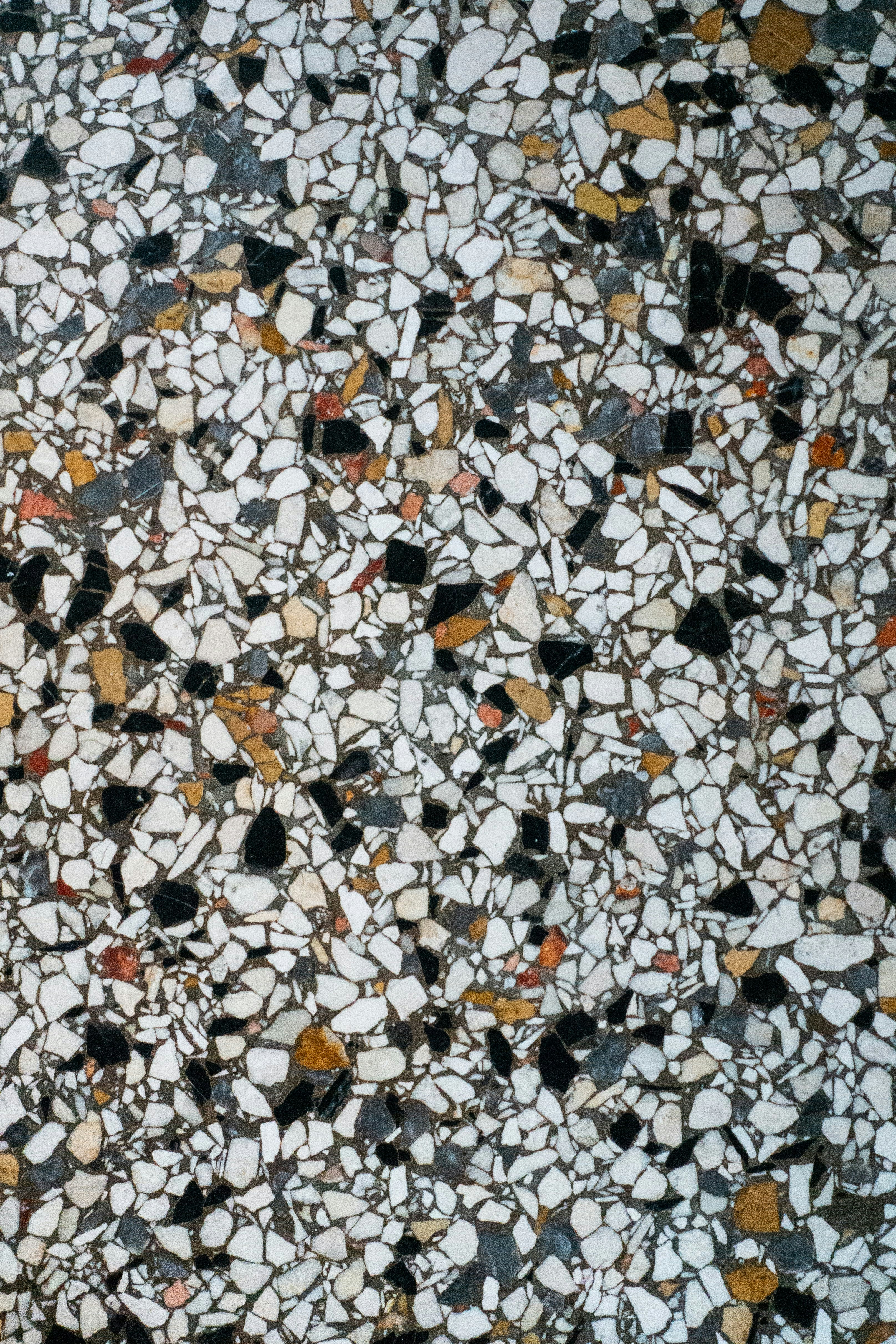 Terrazzo Sample