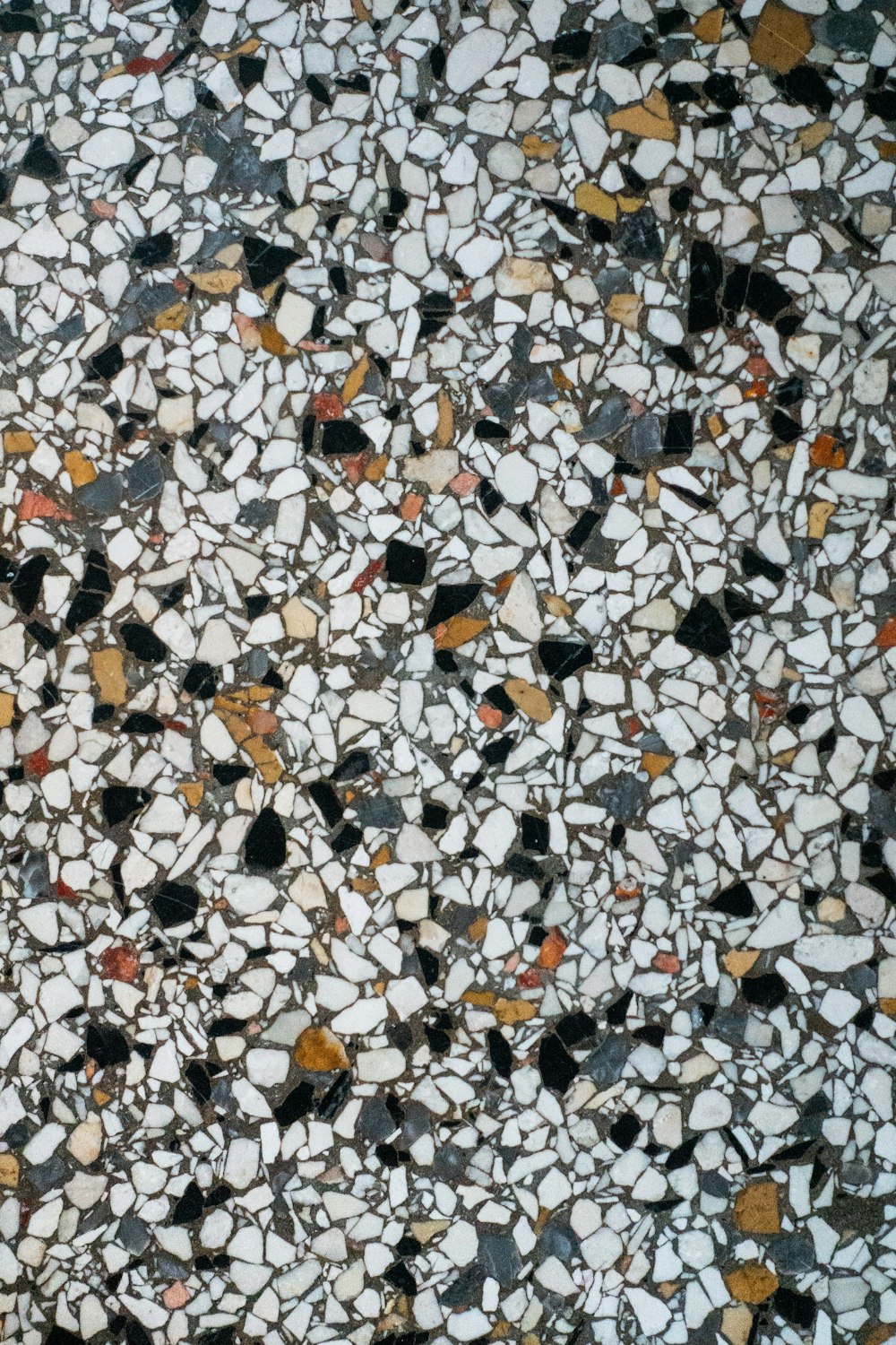 white gray and brown stones