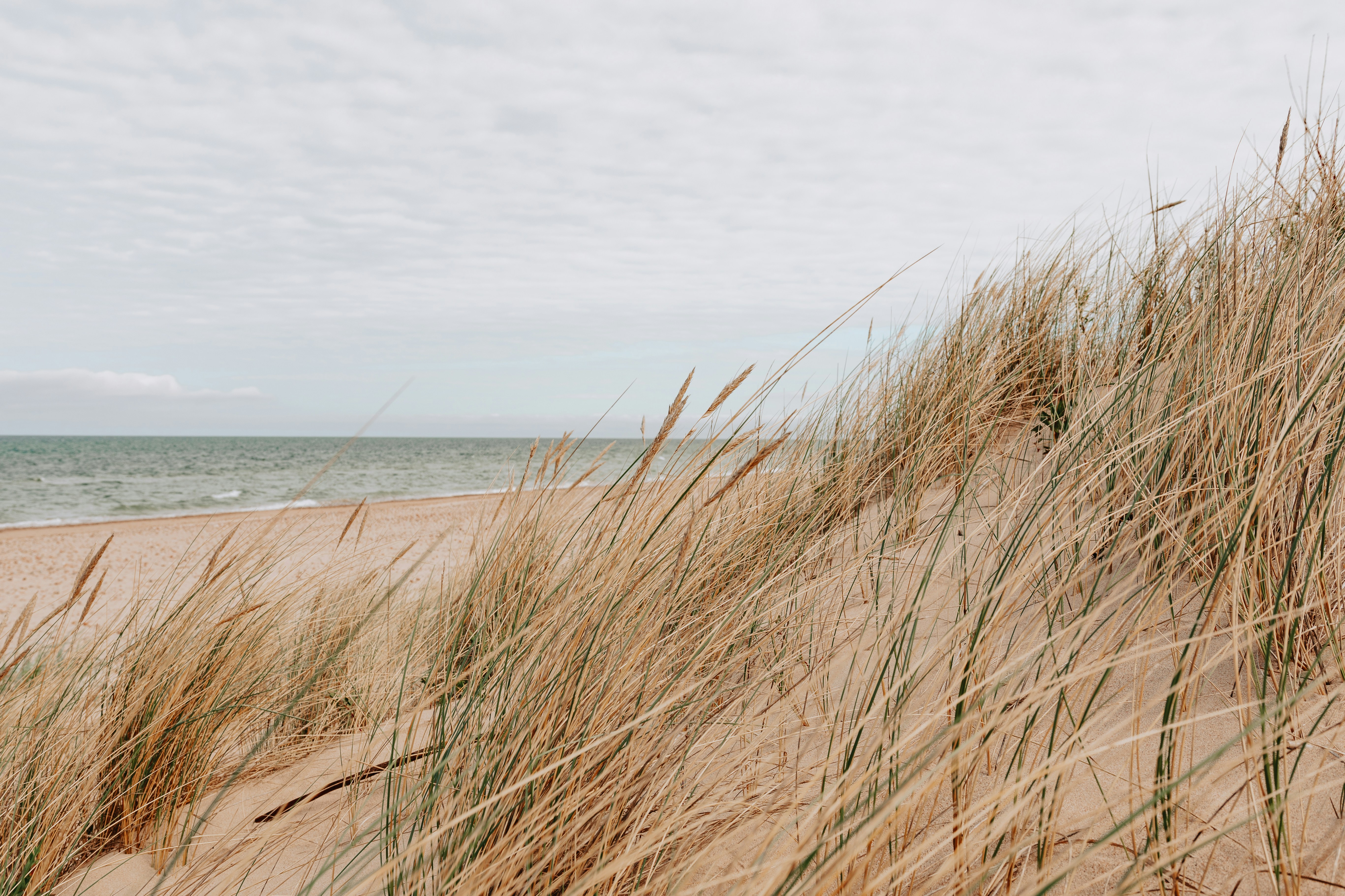 HubSpot uses the details you provide to us to get in touch with you about the relevant content, goods, and services.