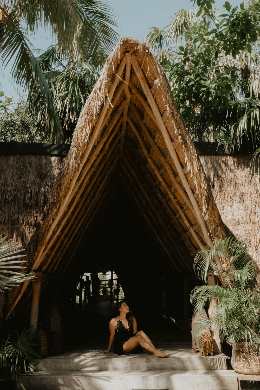 Casa de madera marrón cerca de una palmera verde durante el día