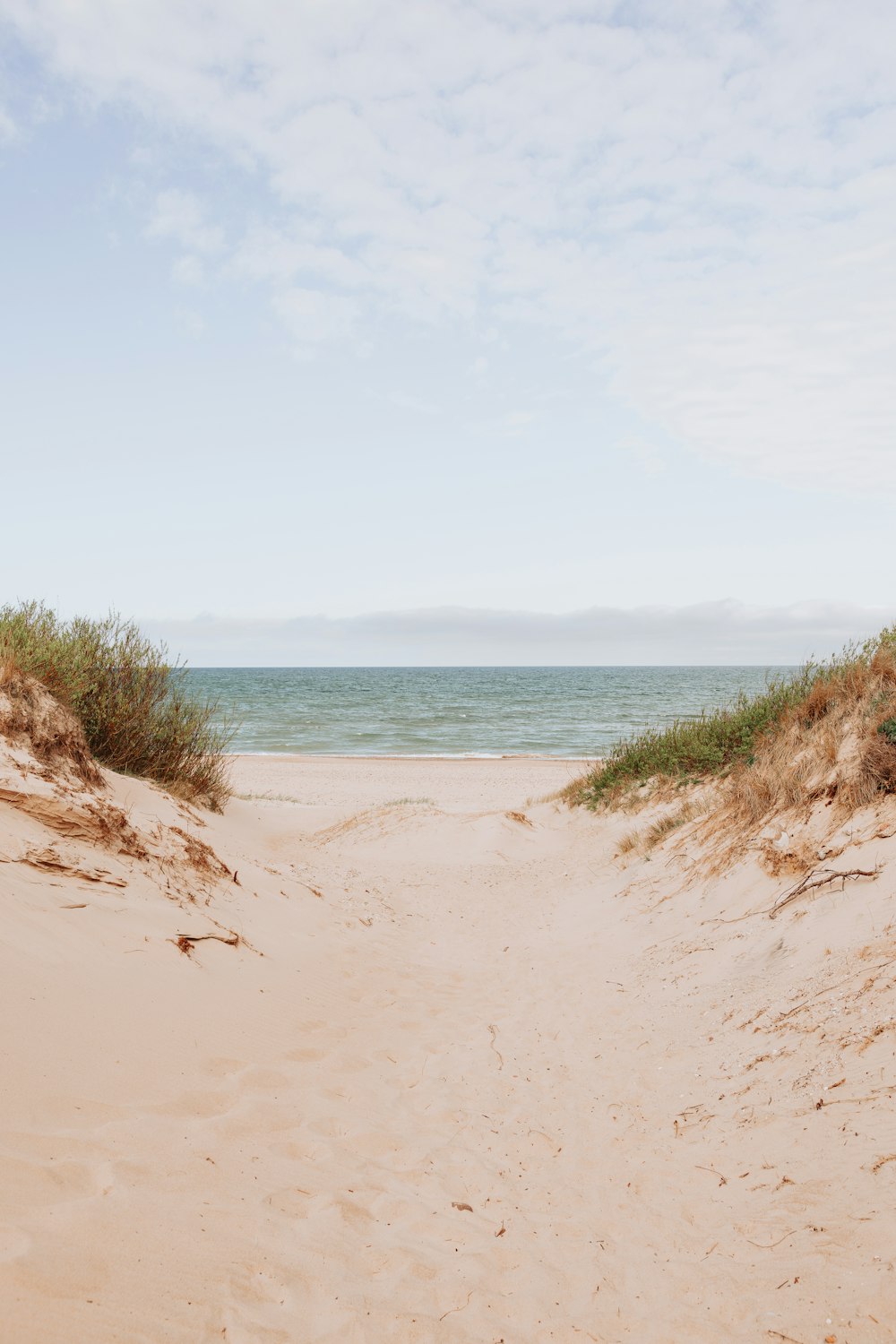 brown sand near body of water during daytime