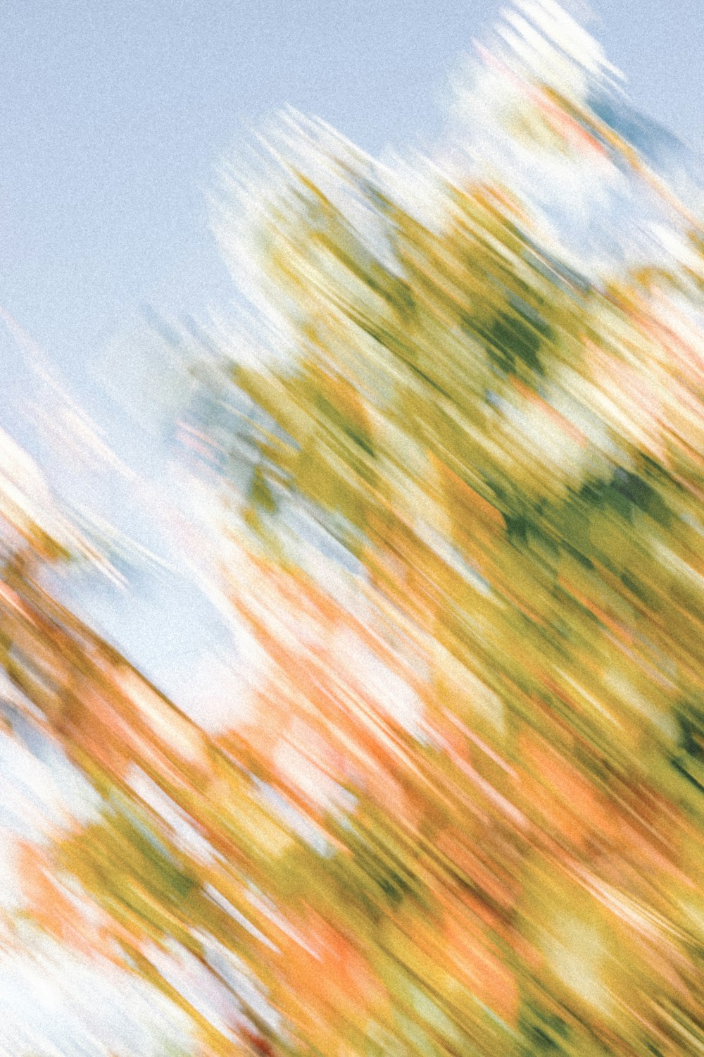 green trees under blue sky during daytime