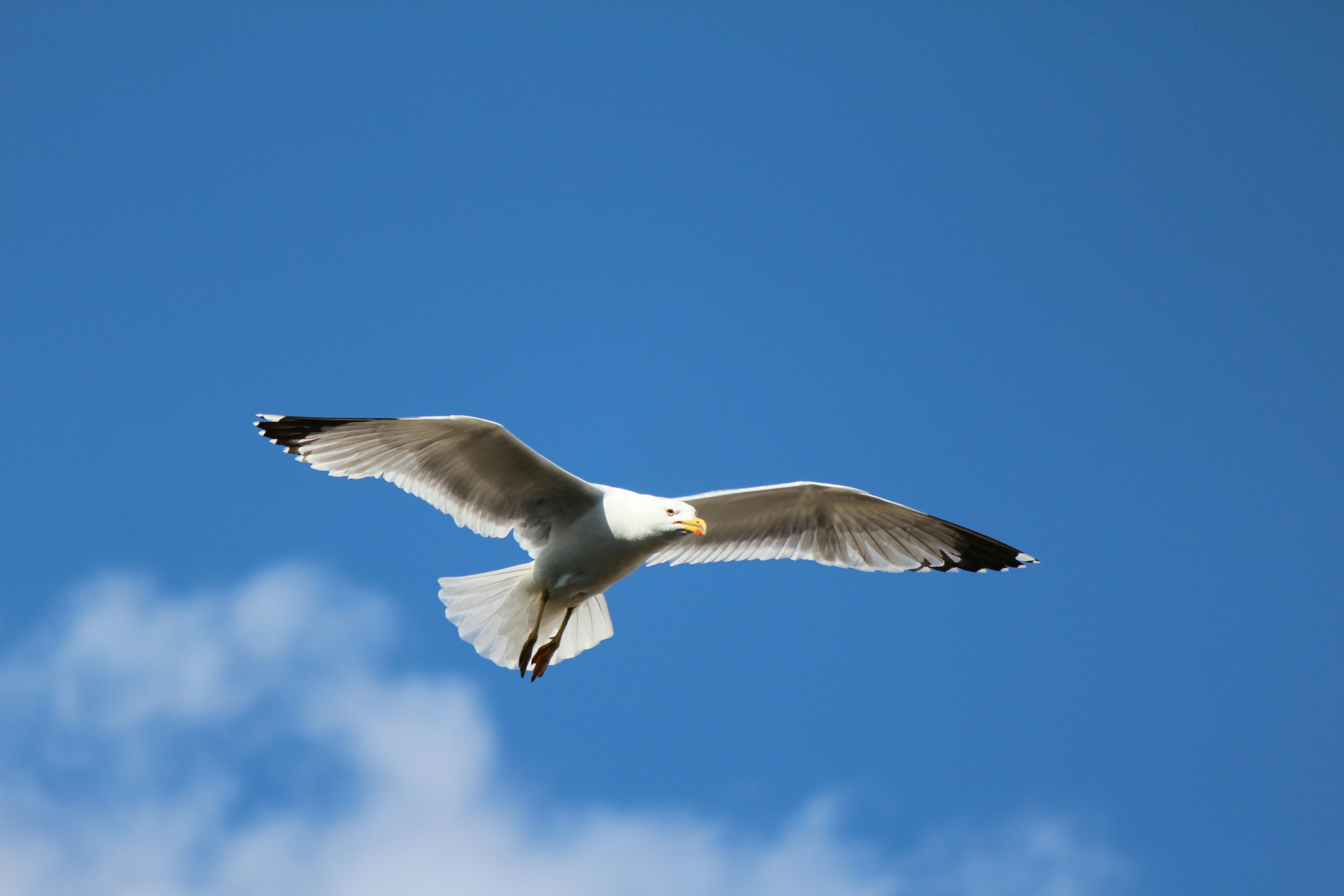 Photo by haim_charbit18