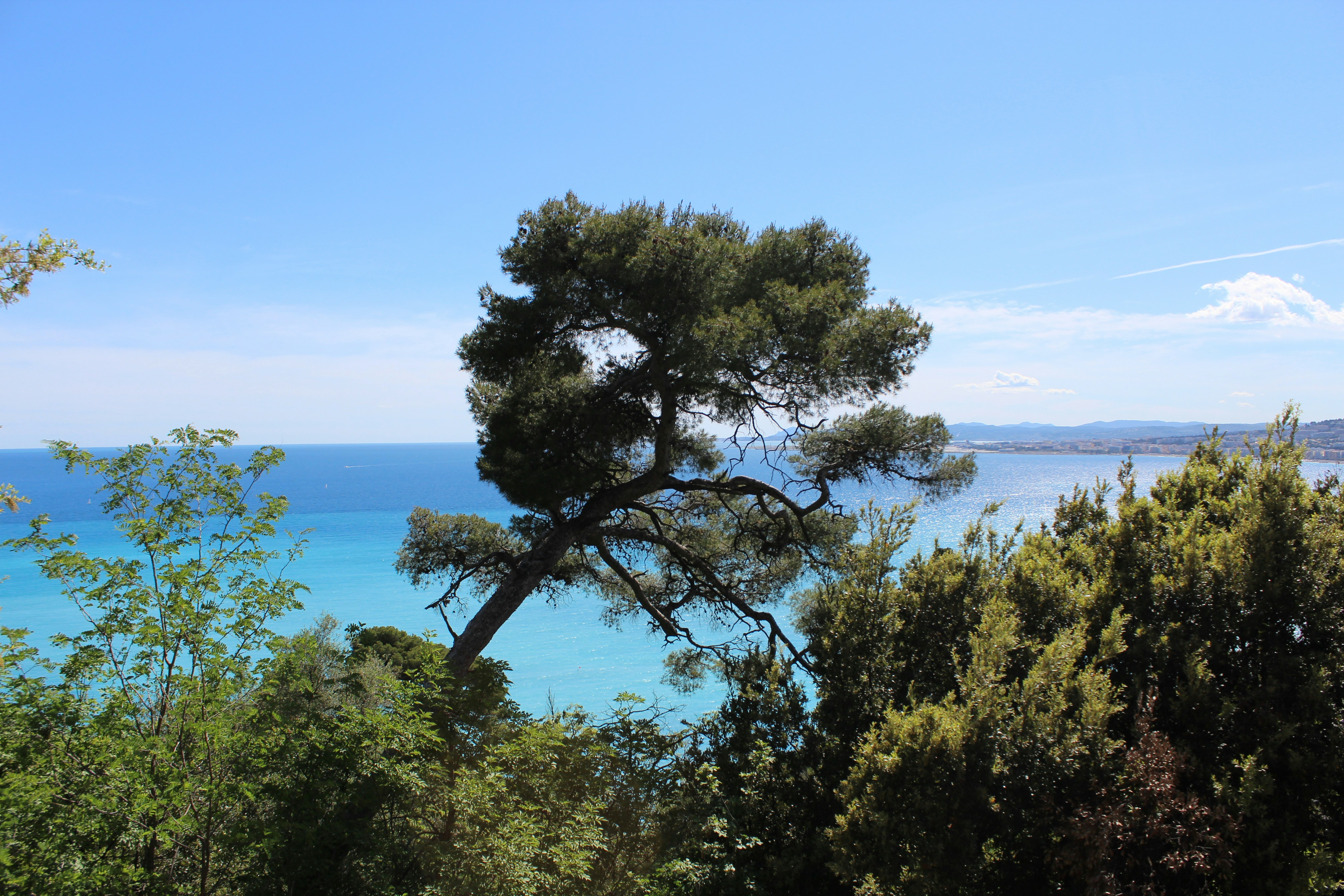 Photo by haim_charbit18