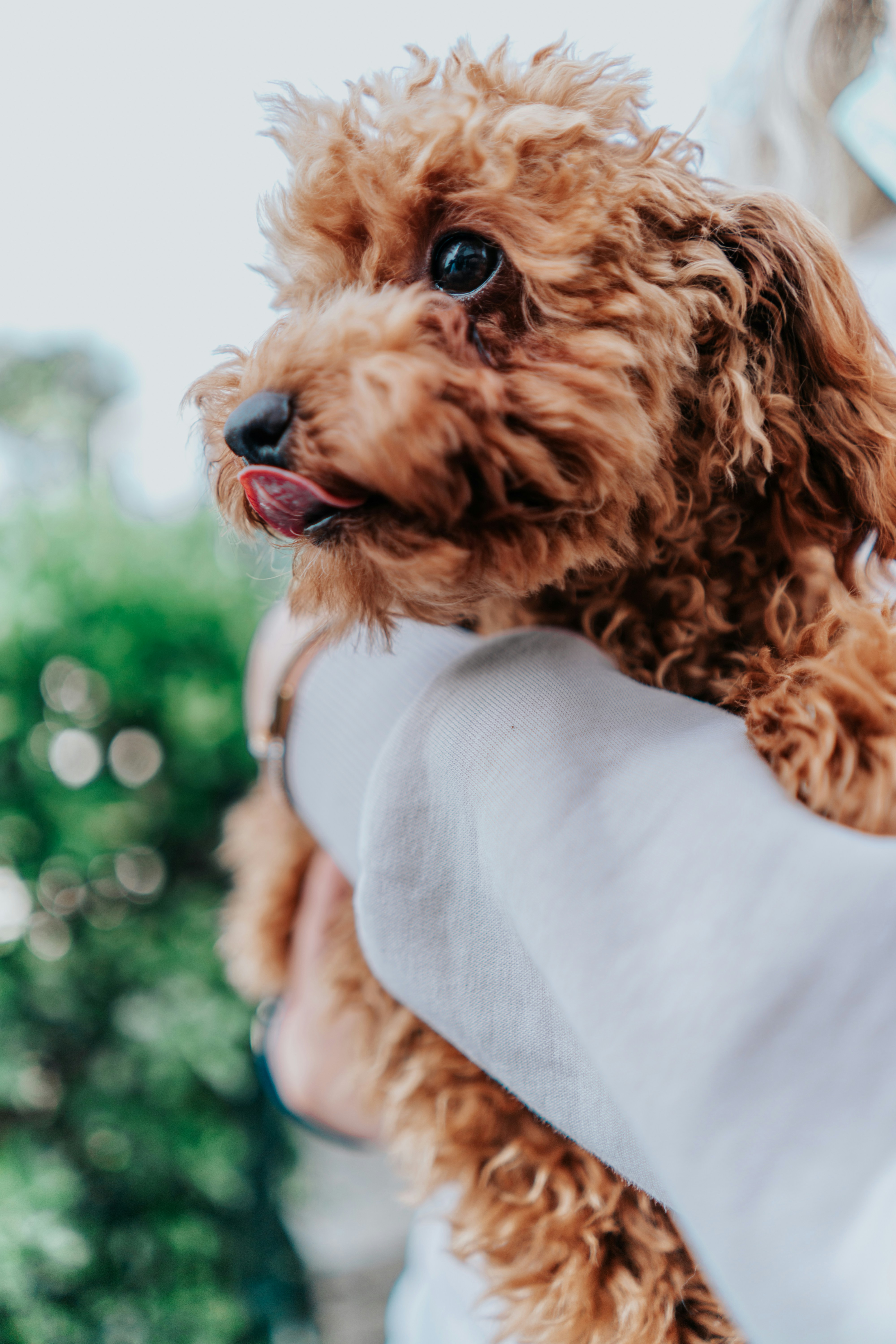 Photo by nisanyagmurr