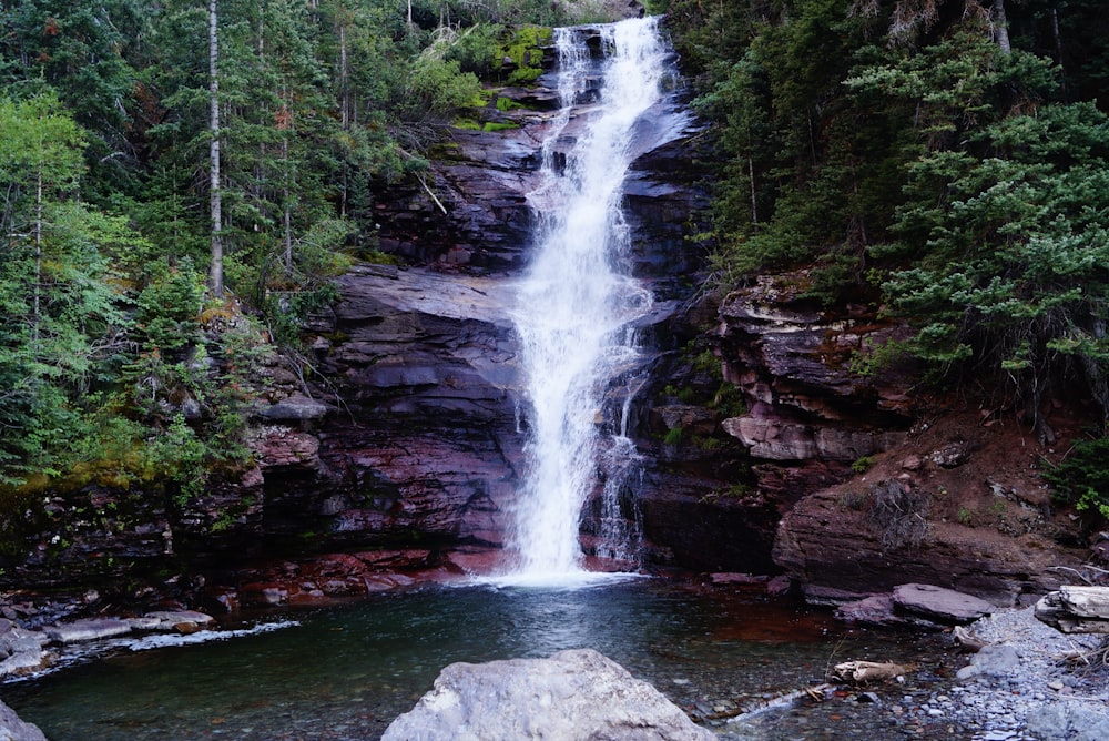 waterfalls in the middle of the forest during daytime