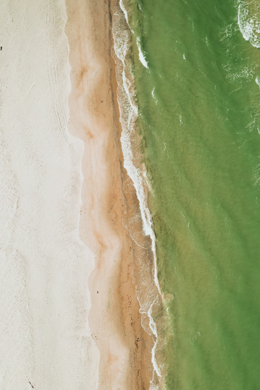 aerial view of beach during daytime