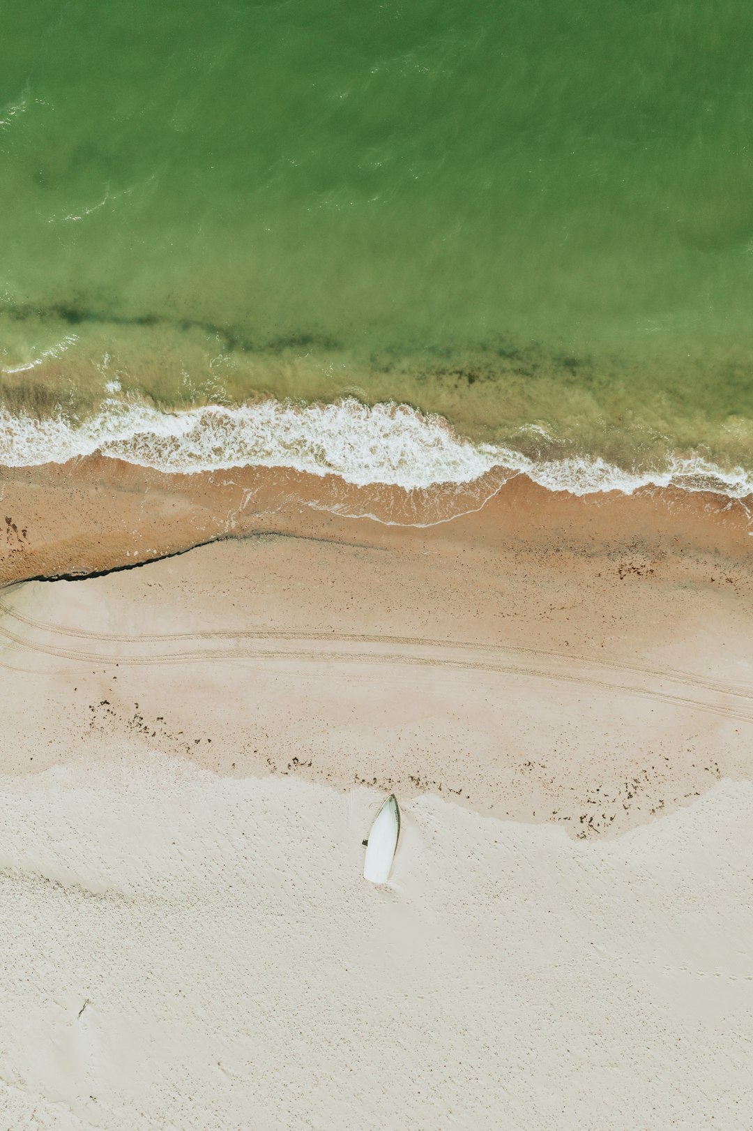 brown sand near body of water during daytime