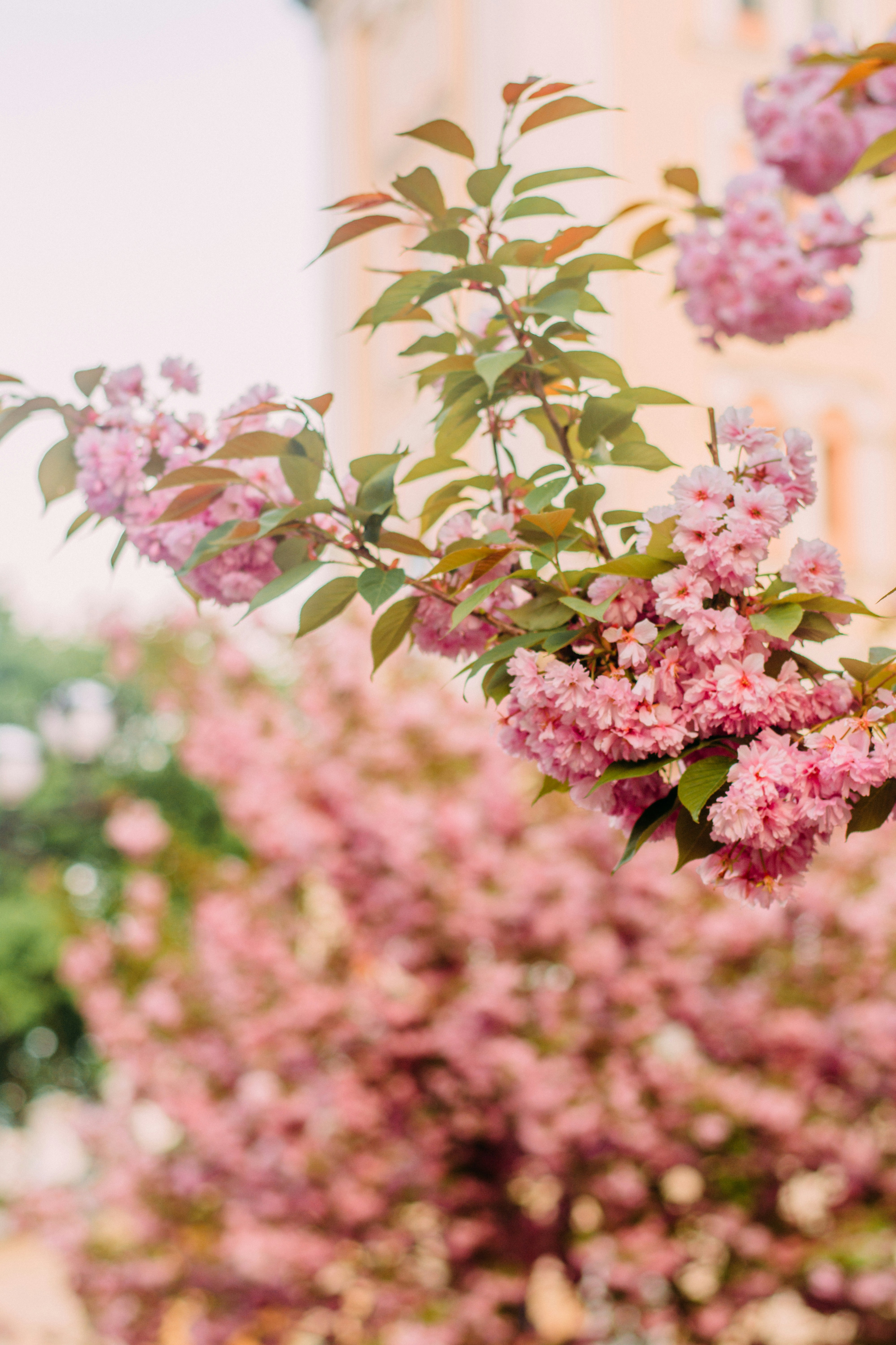 Photo by eugenivy_now