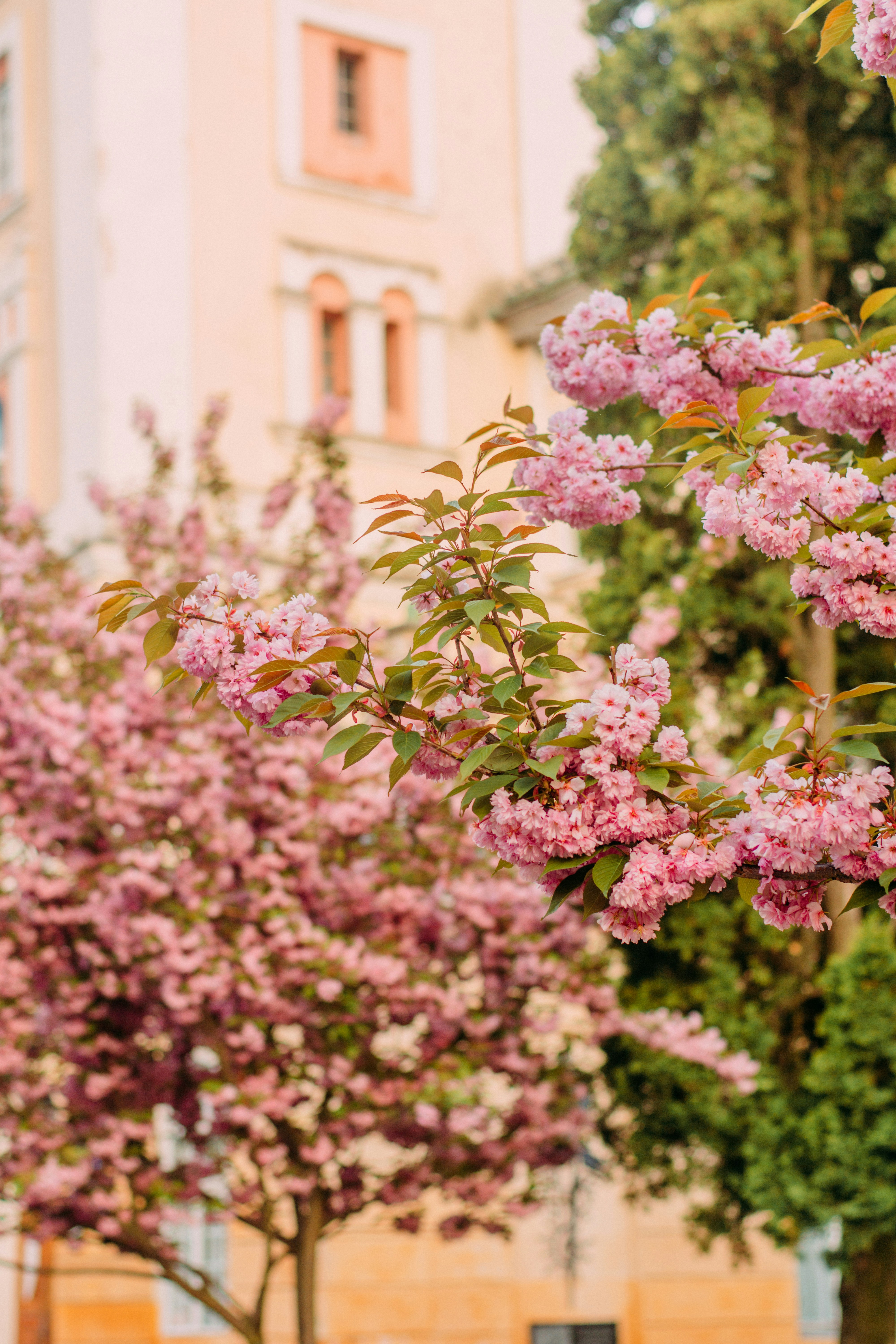 Photo by eugenivy_now