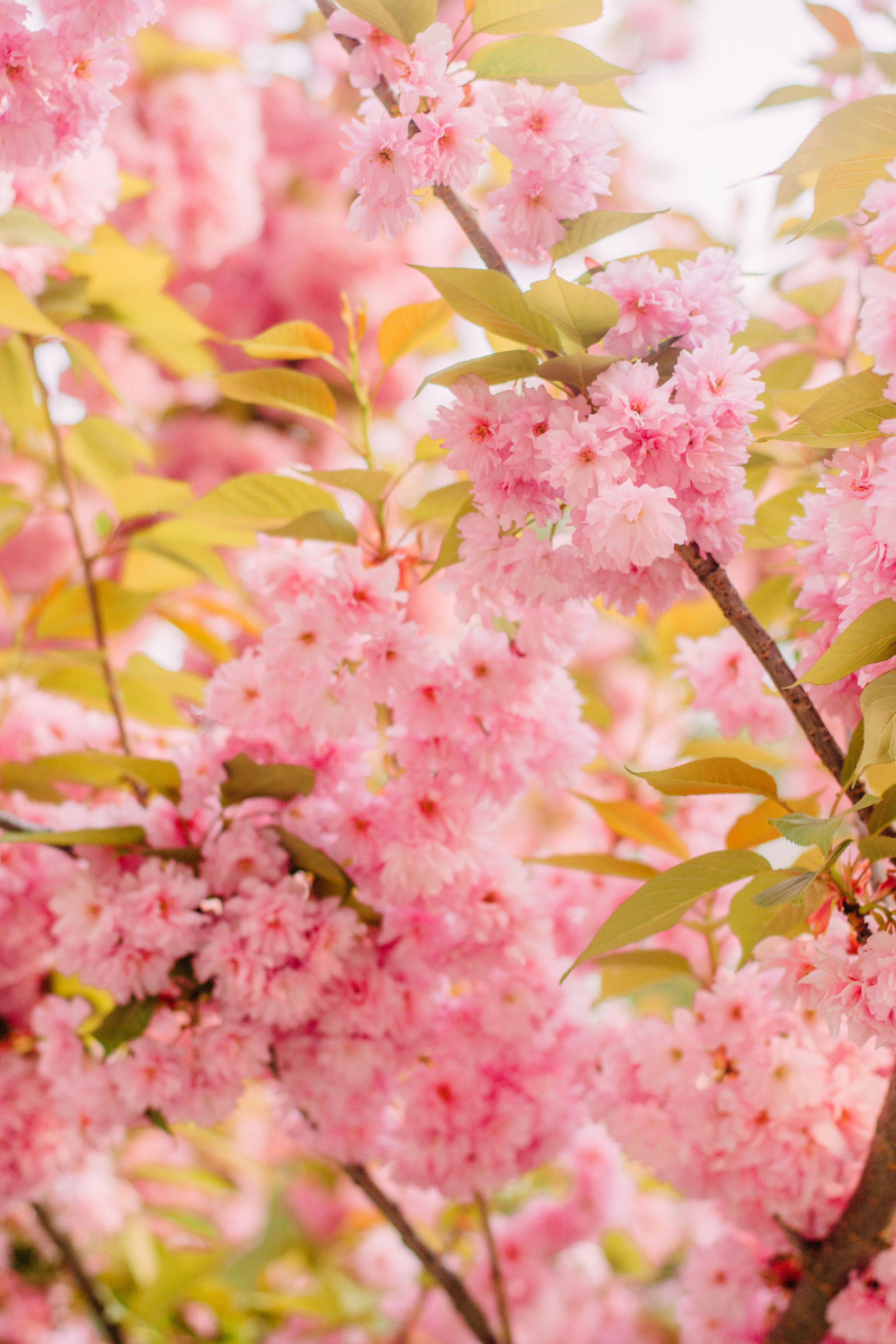 Photo by eugenivy_now