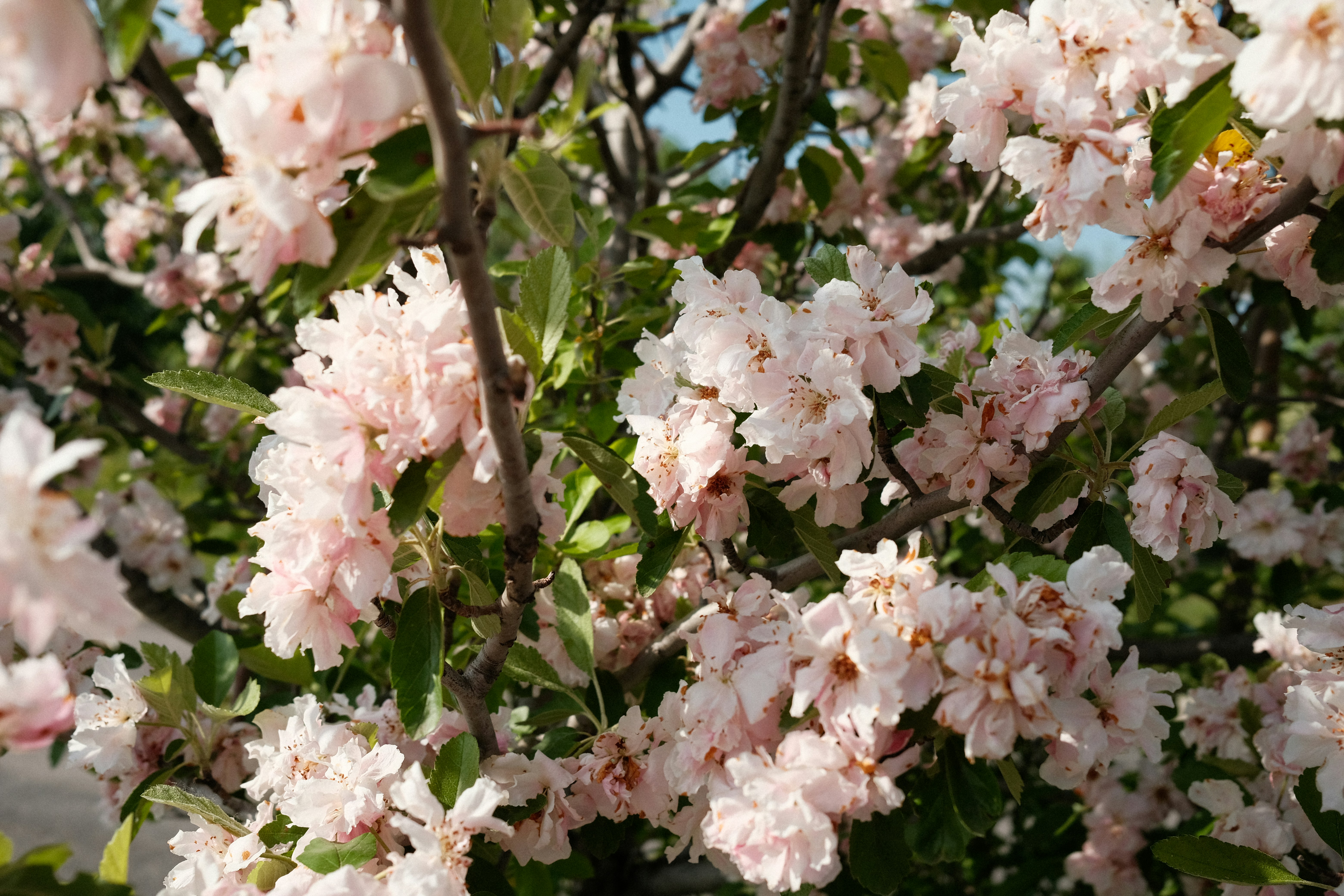 Photo by brandoncormier