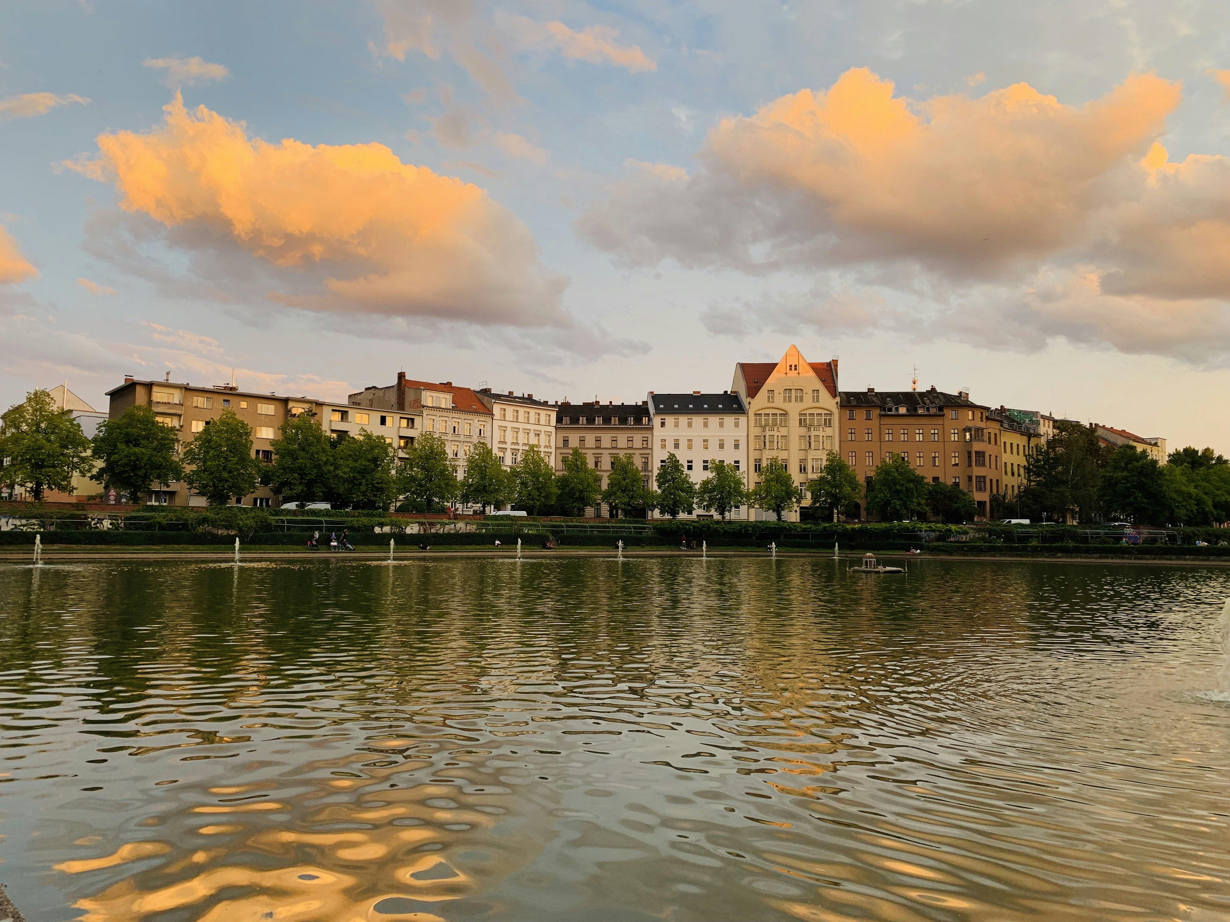 Photo by sarasadeghloo