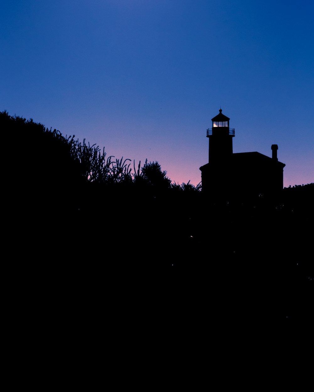 silhouette of building during night time