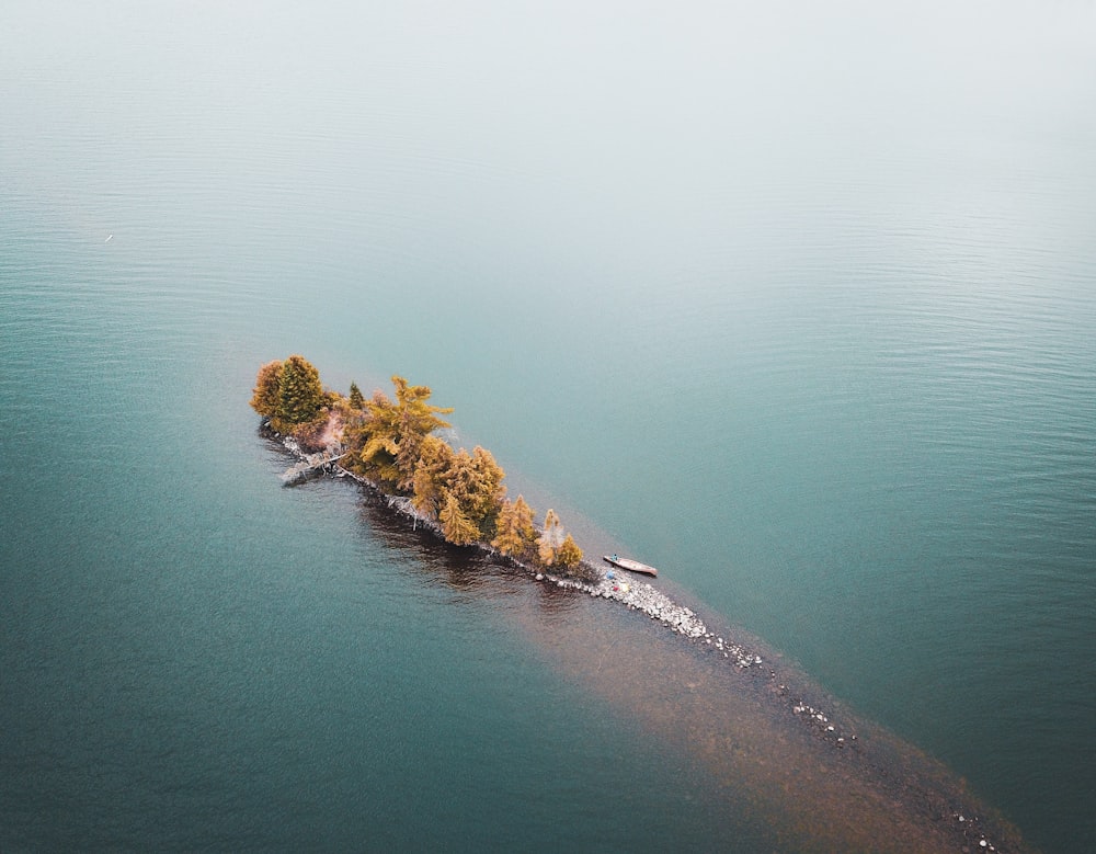 green trees on island surrounded by water during daytime