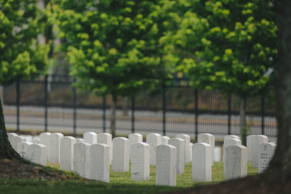 white plastic fence on green grass field during daytime