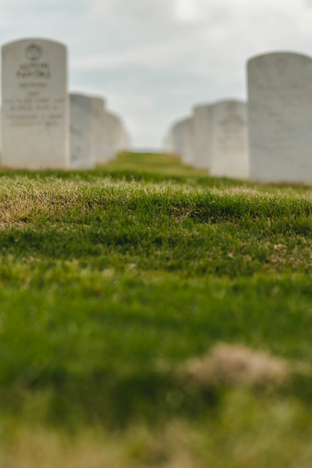 green grass field during daytime