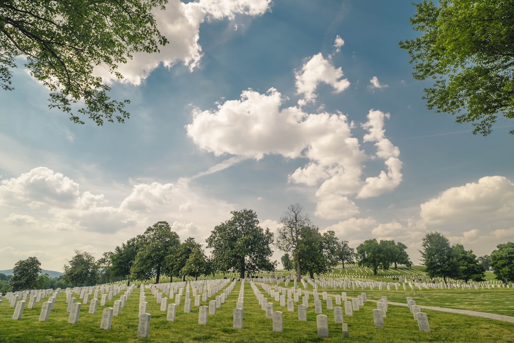 green grass field under blue sky and white clouds during daytime