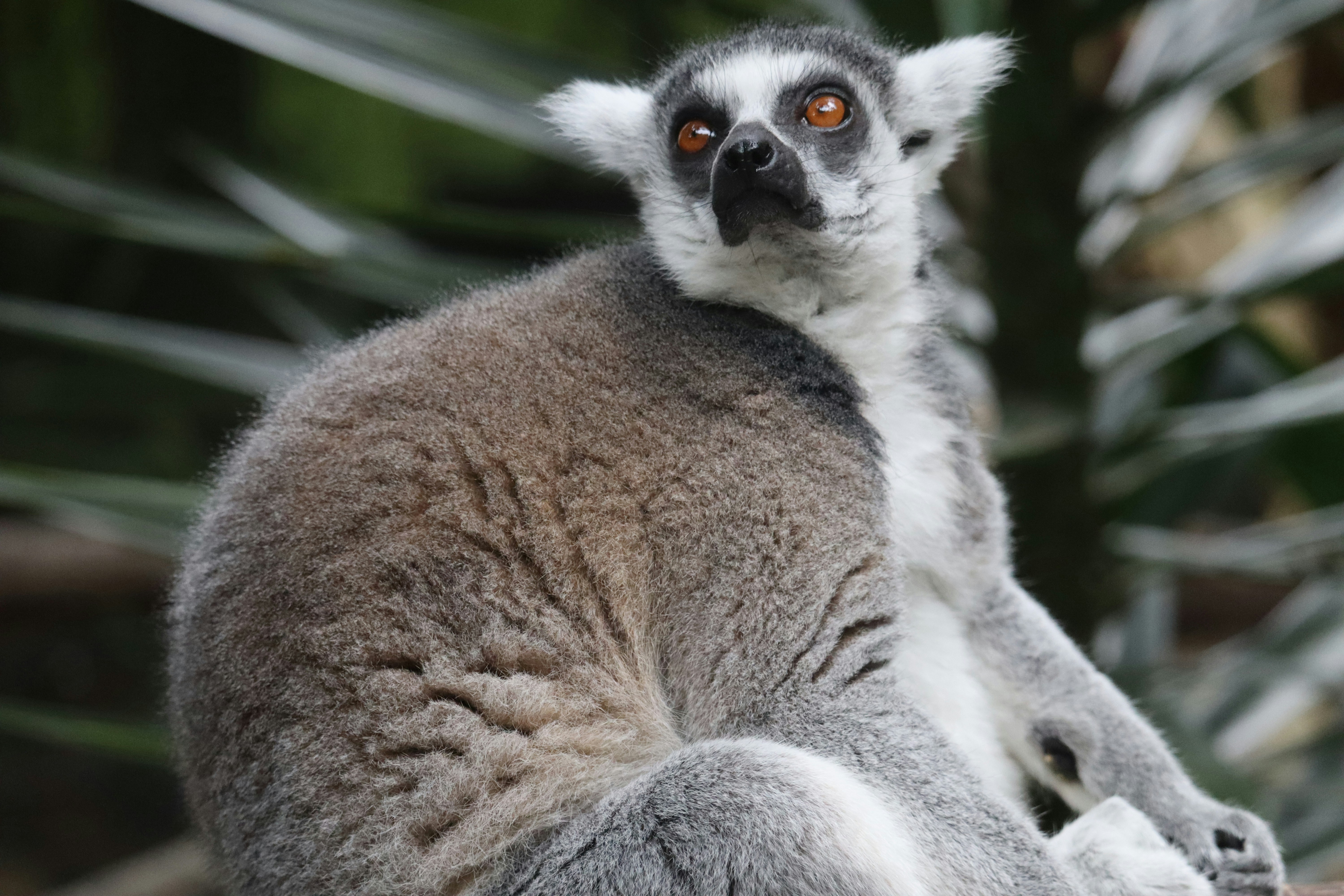 Photo by camiidussan