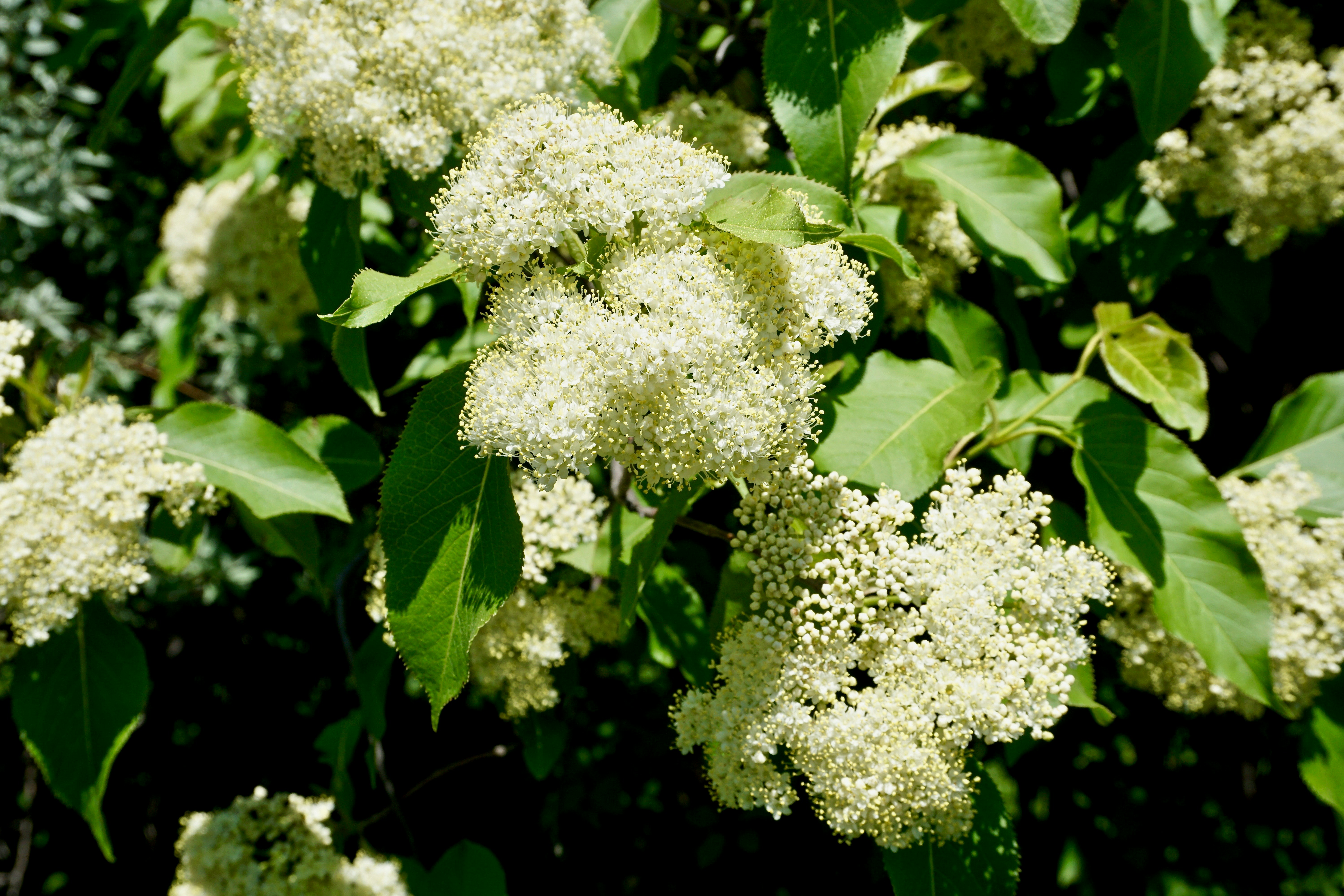 Photo by amandamariacanas