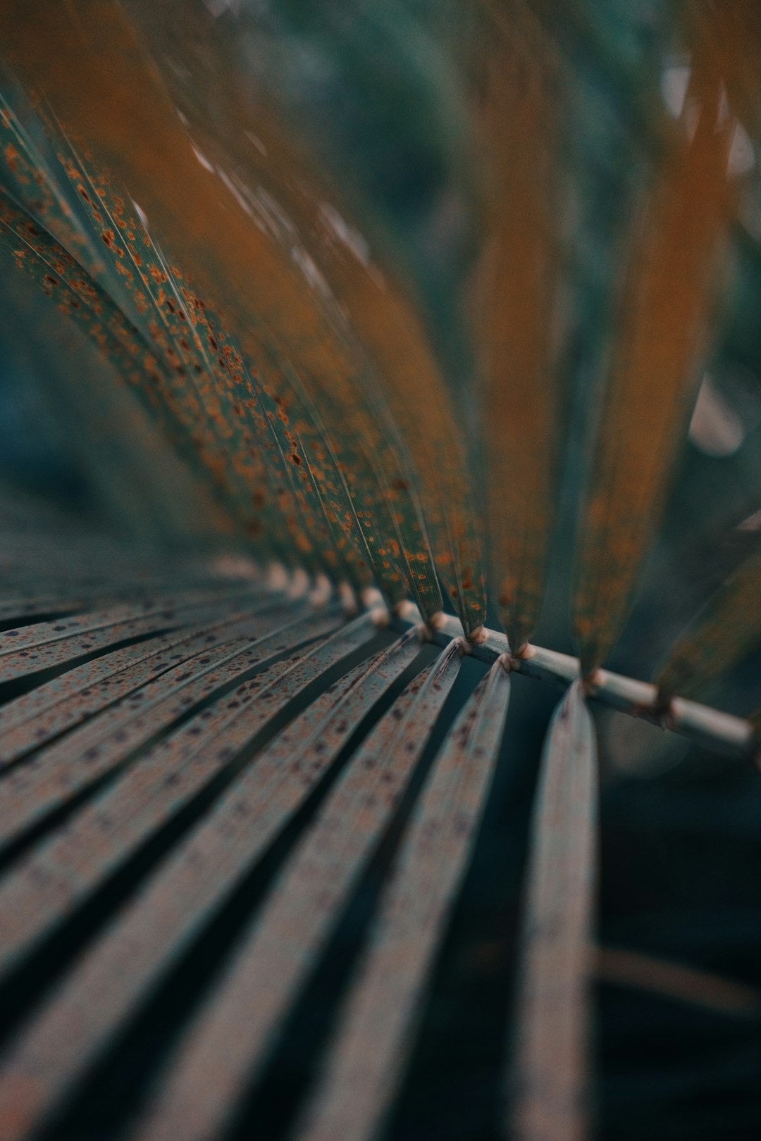 water droplets on gray metal fence