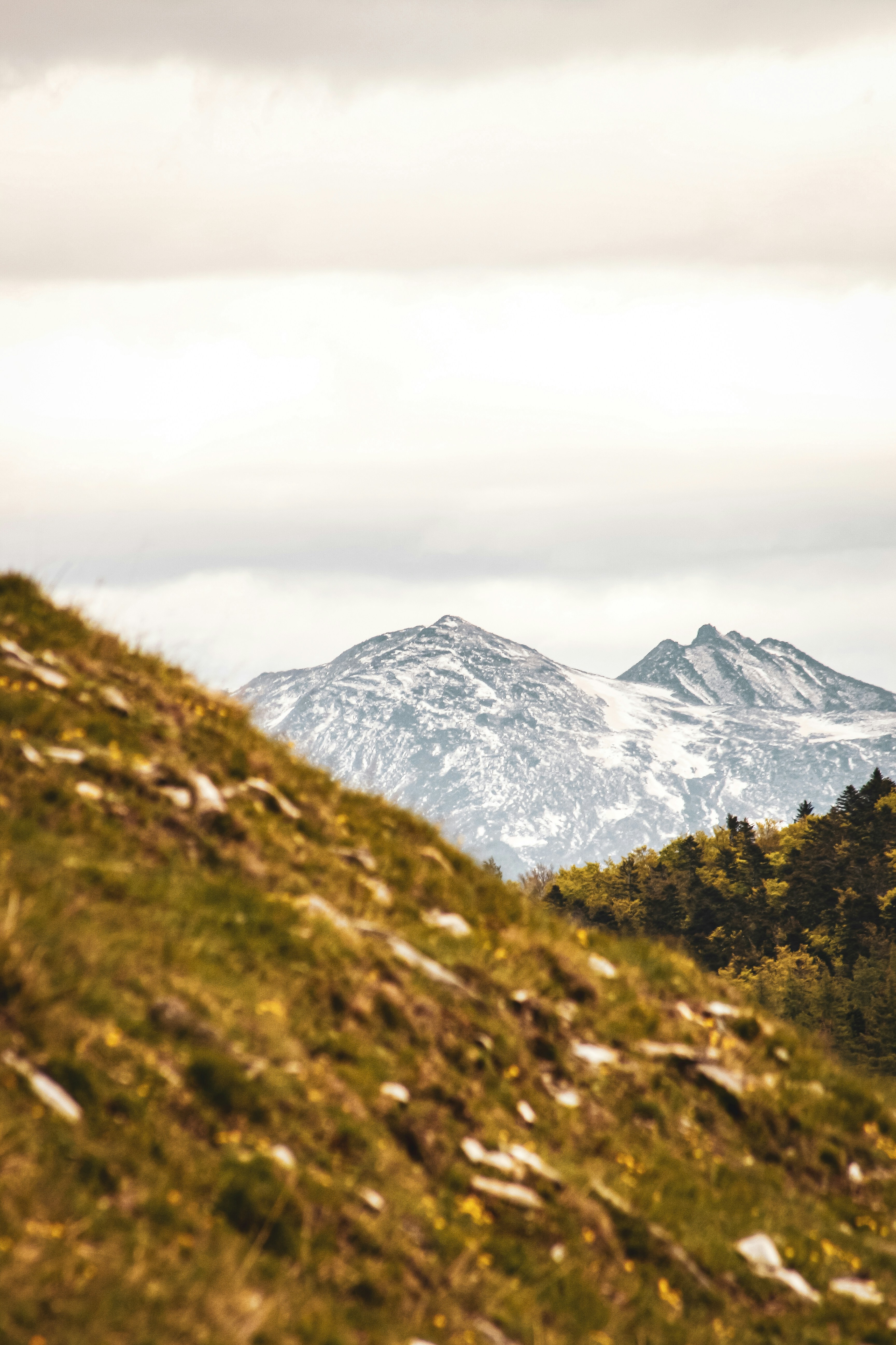 Photo by baptistebuiss