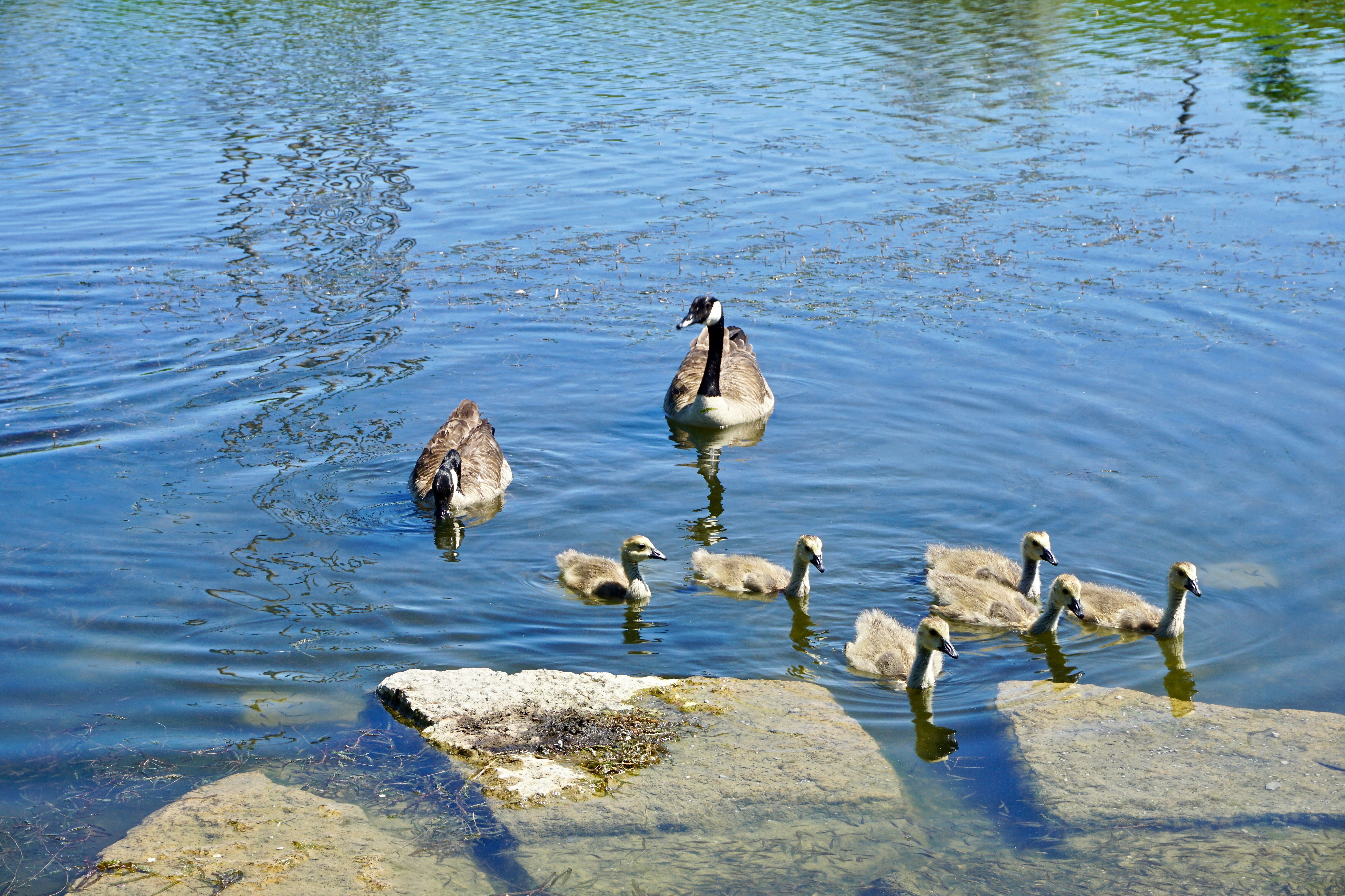 Photo by amandamariacanas