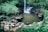 A peaceful waterfall surrounded by lush greenery with visitors admiring the view.