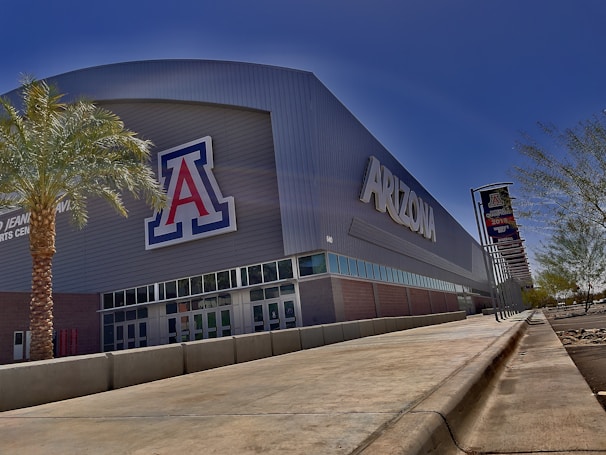 An SEO performance report highlighting top keyword rankings for a local Arizona contractor.