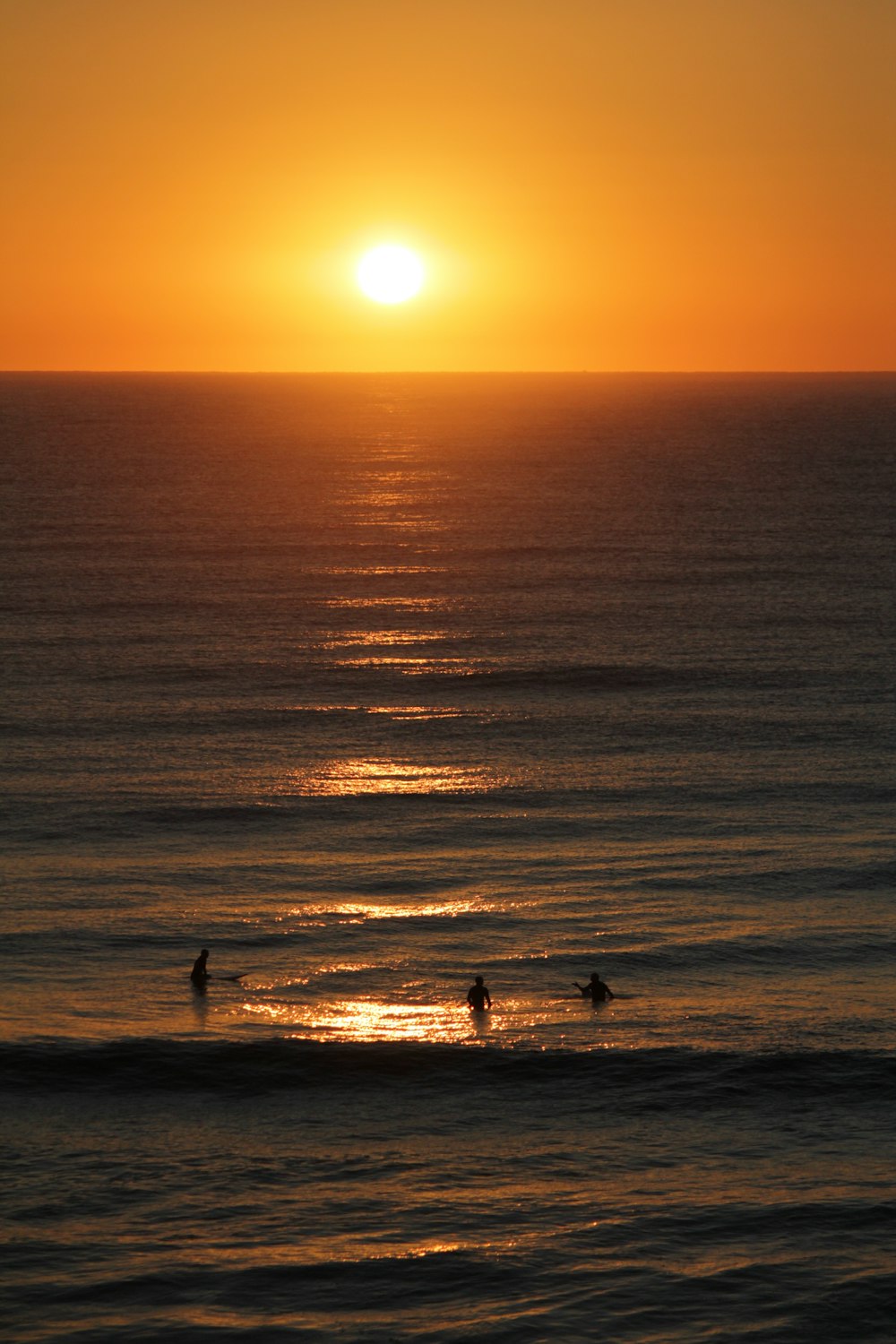 silhouette of people on beach during sunset