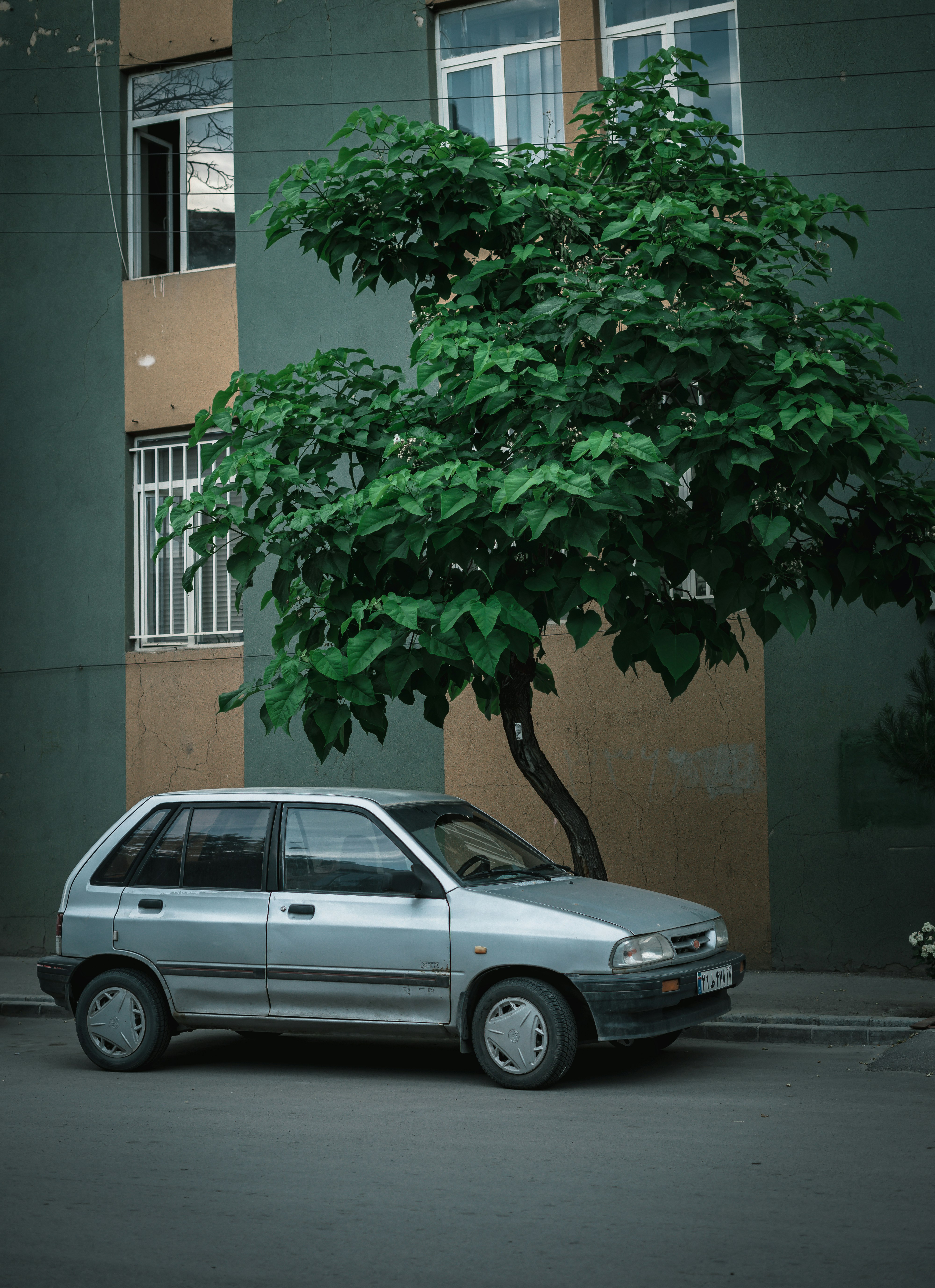 silver sedan parked beside green tree during daytime
